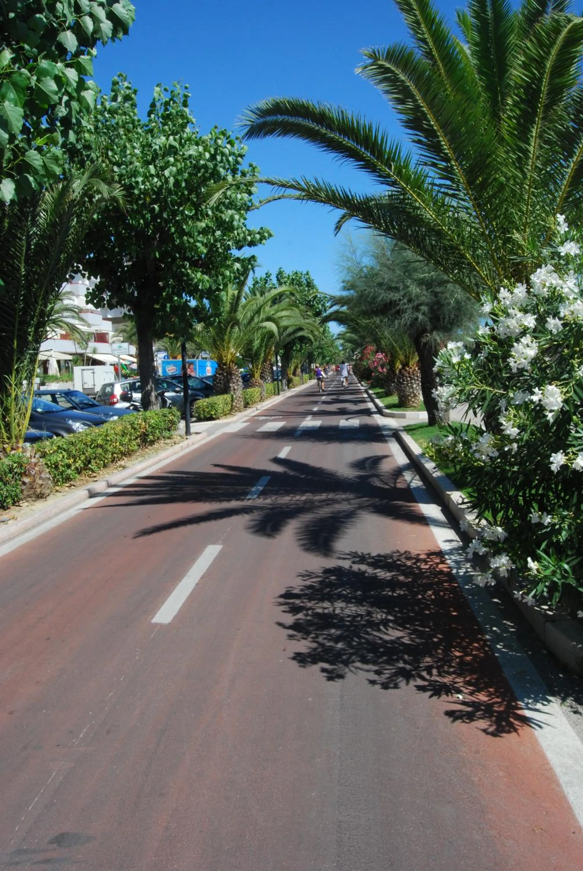 Cycling in Hotel Meripol