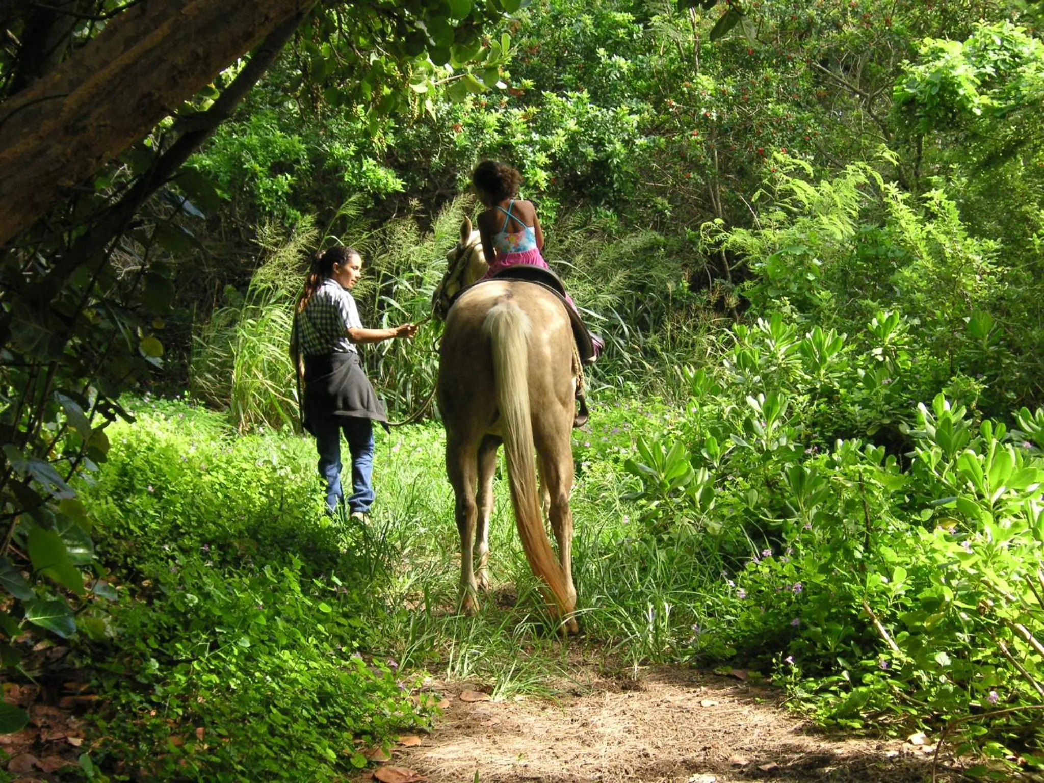 Horse-riding in The Turtle Bay Signature