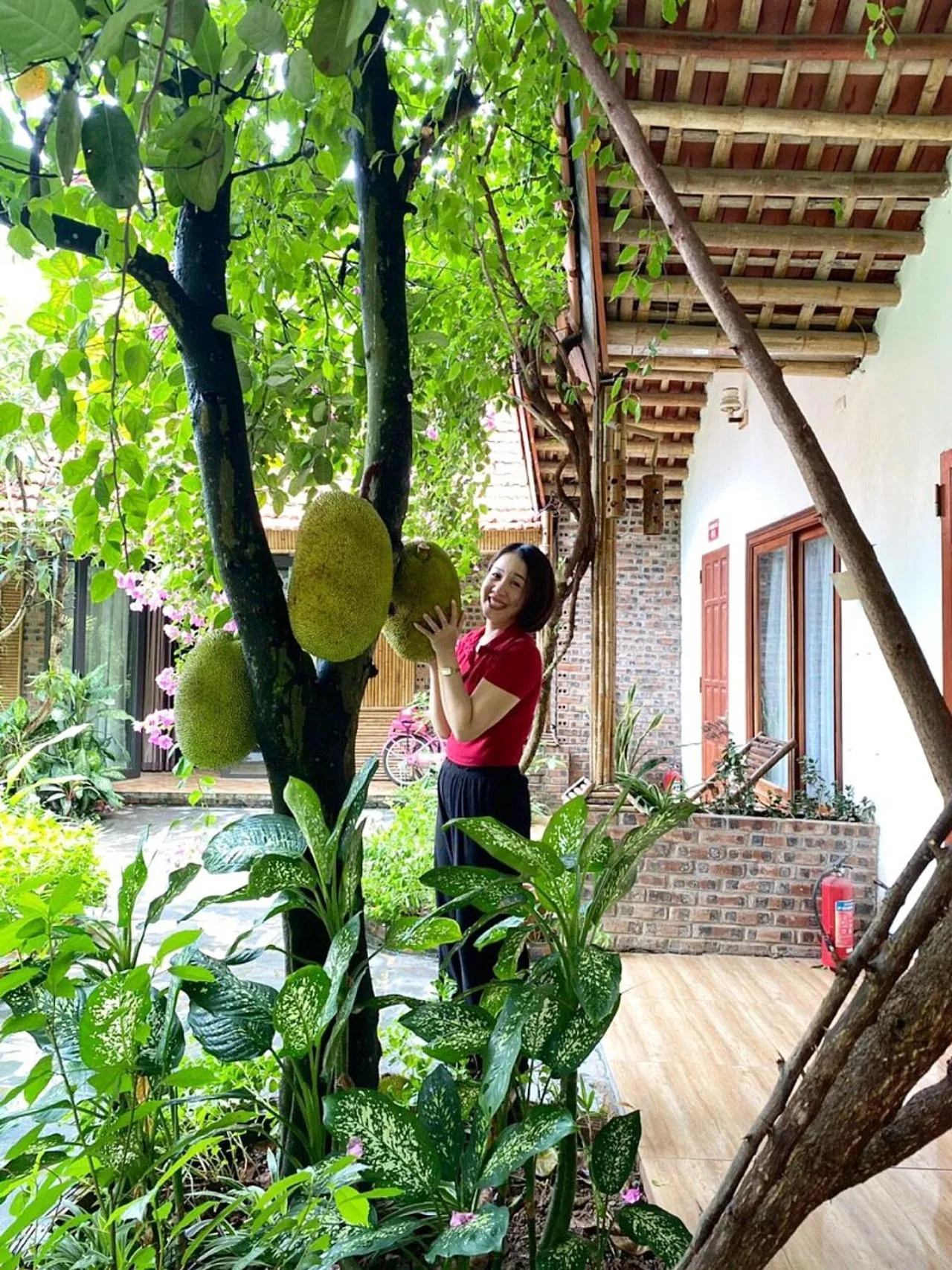 Tam Coc Serene Bungalow