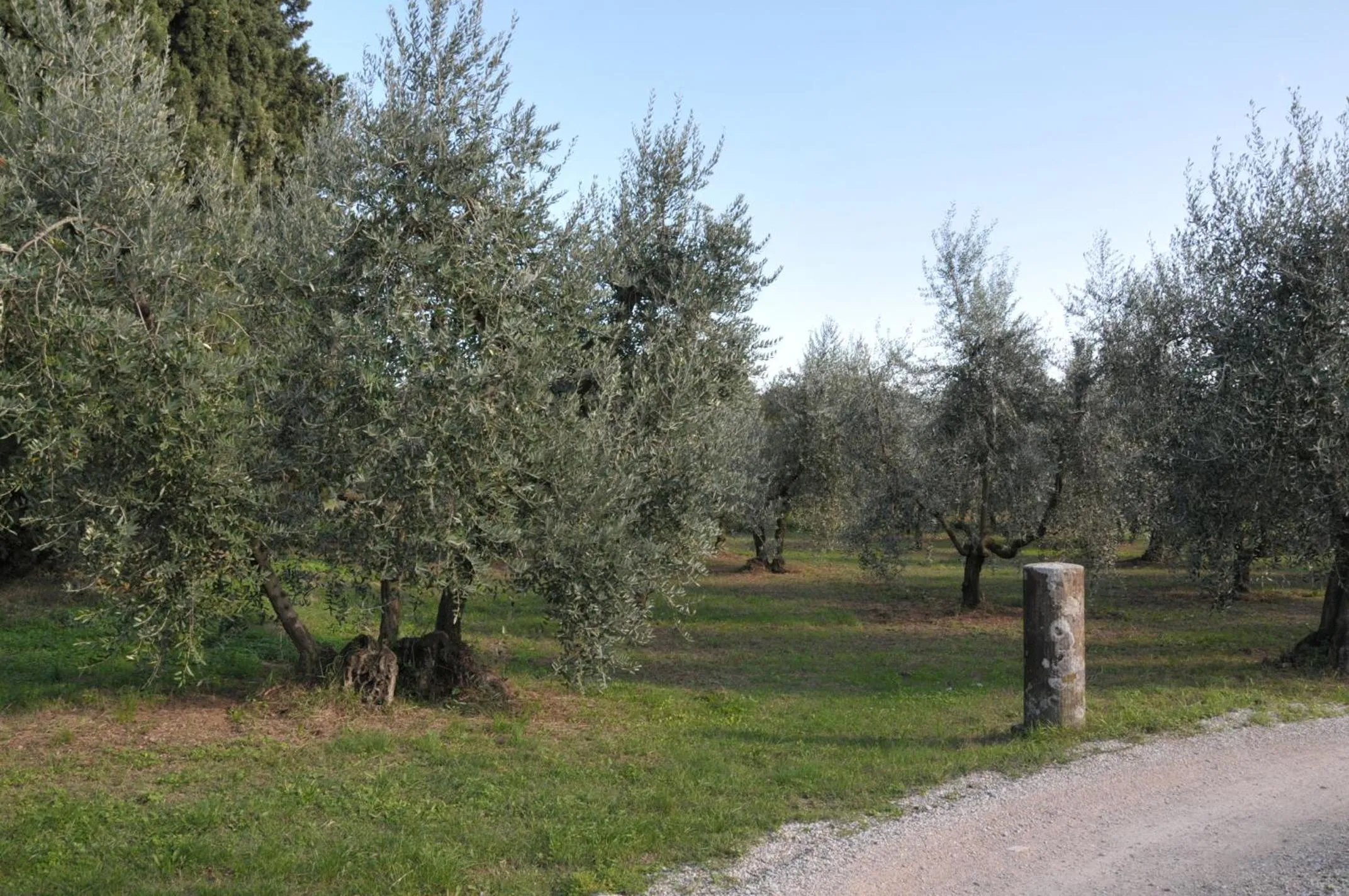 Natural landscape in Agriturismo San Rocco