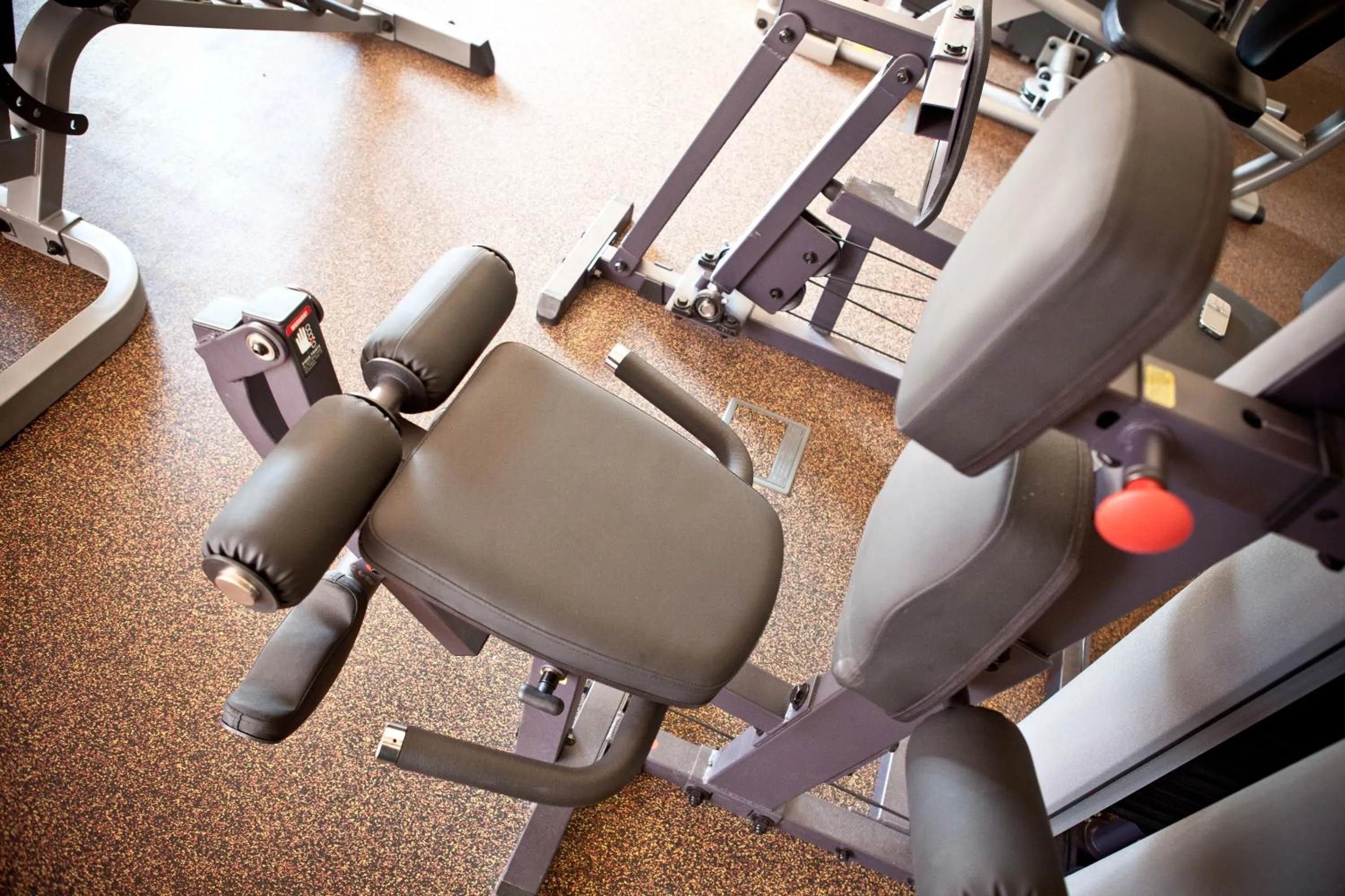 Activities in Hotel Rodan