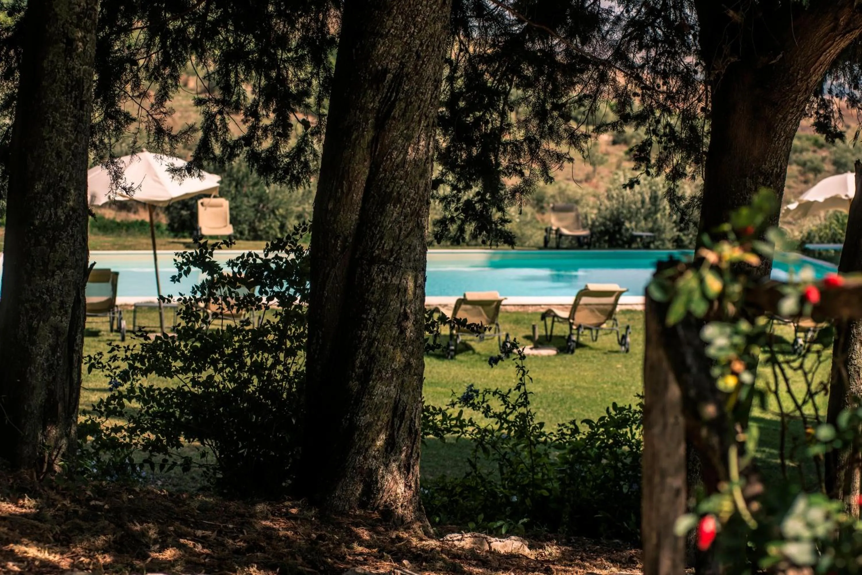 Garden in Masseria Rossella