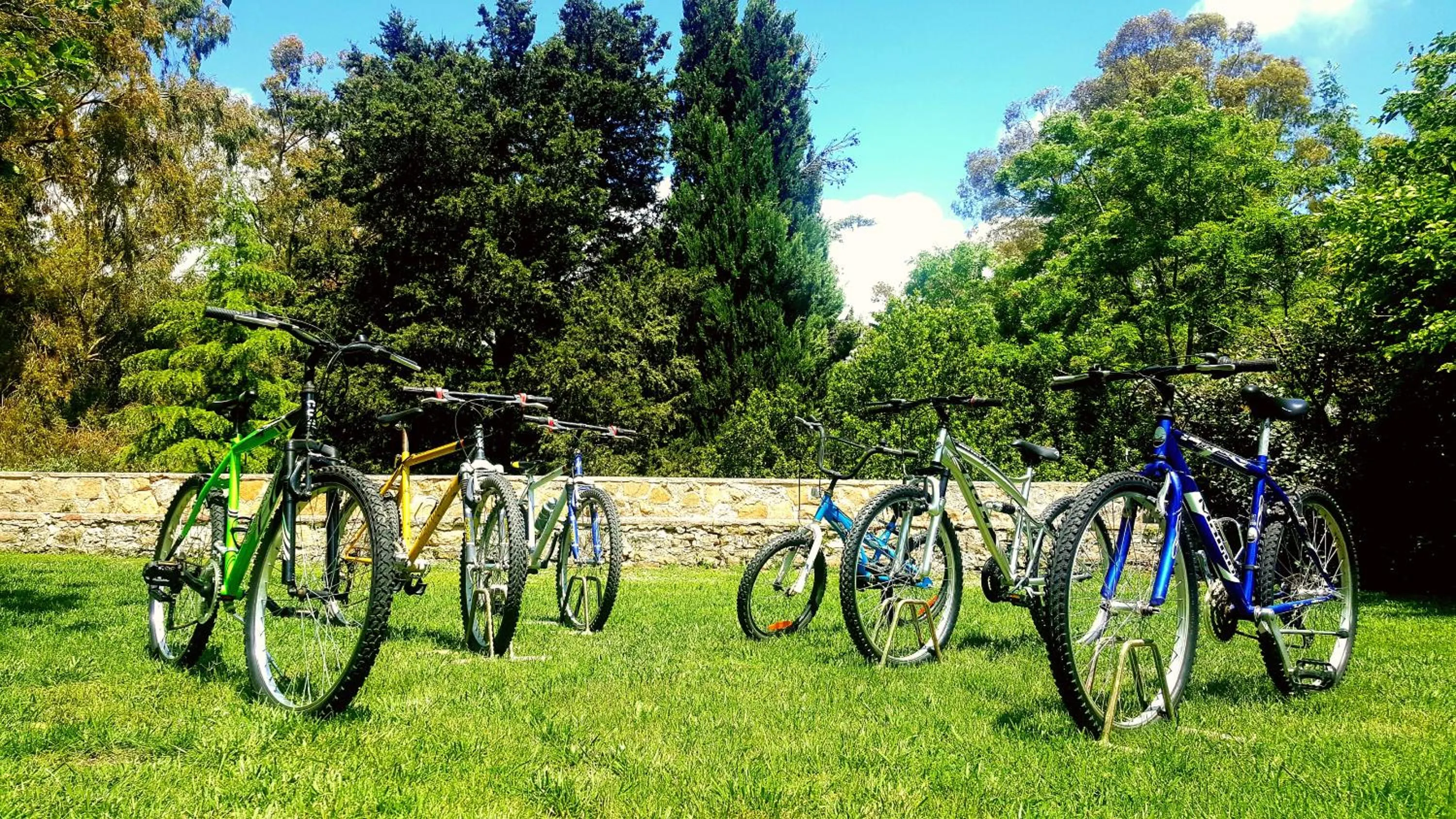 Cycling in Masseria Rossella