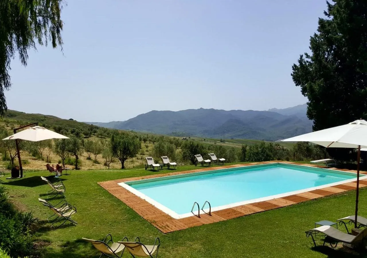 Pool view in Masseria Rossella