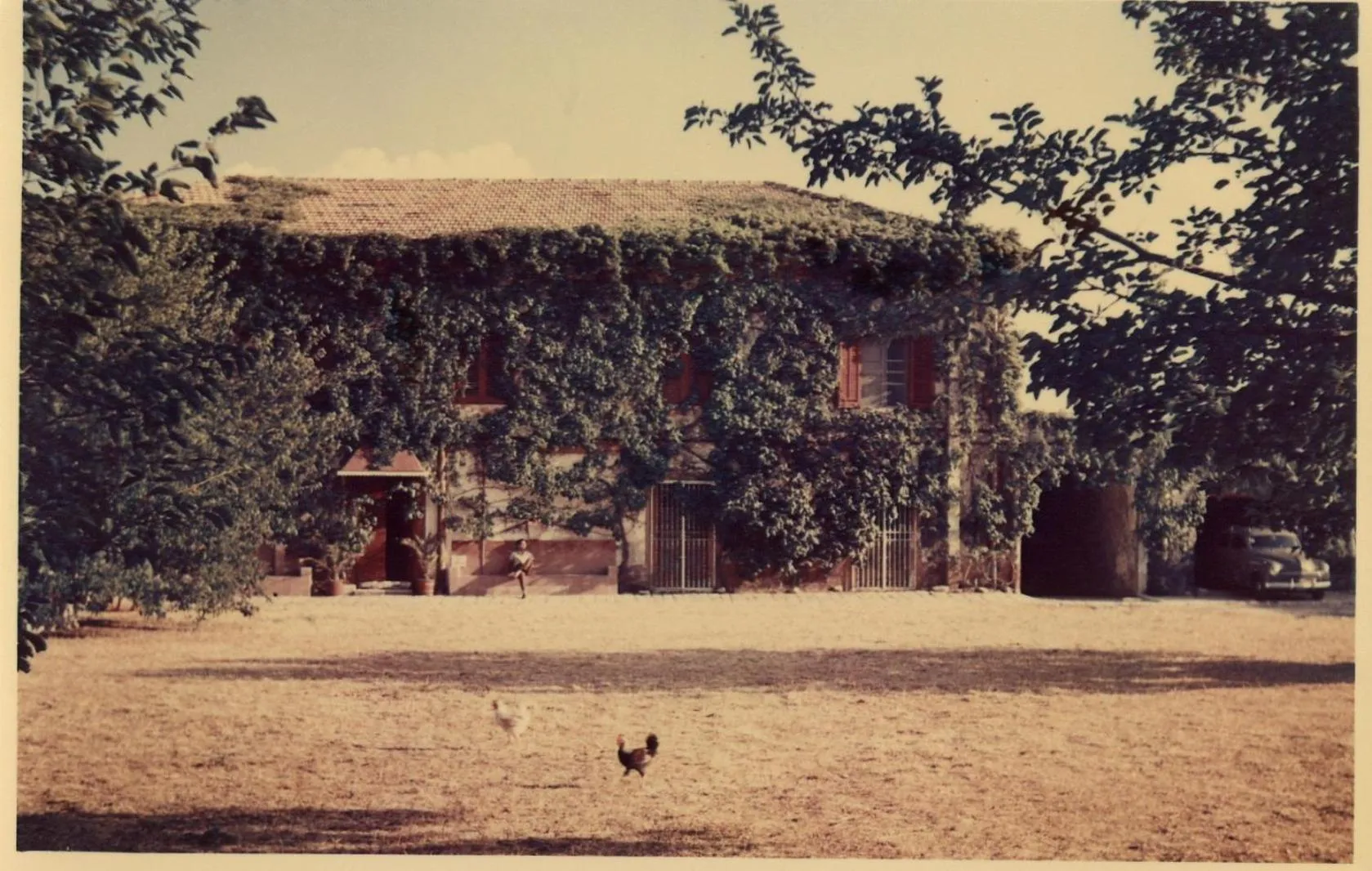 Property building in Masseria Rossella