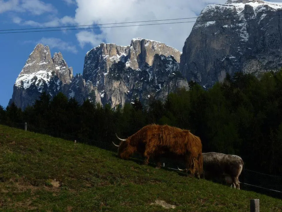Animals in Gasthof Albergo Kreuzwirt