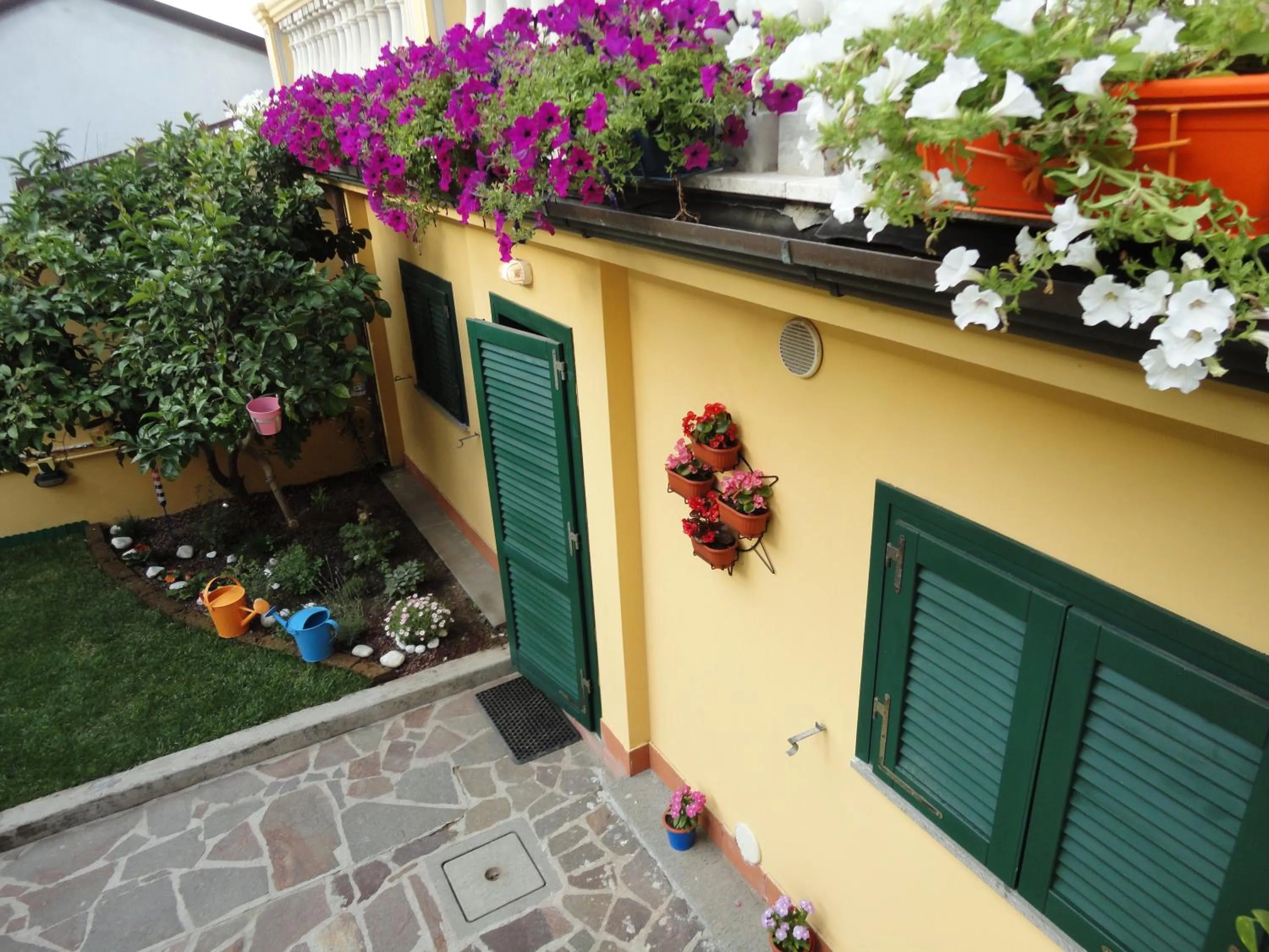 Garden in Hostel Pisa Tower