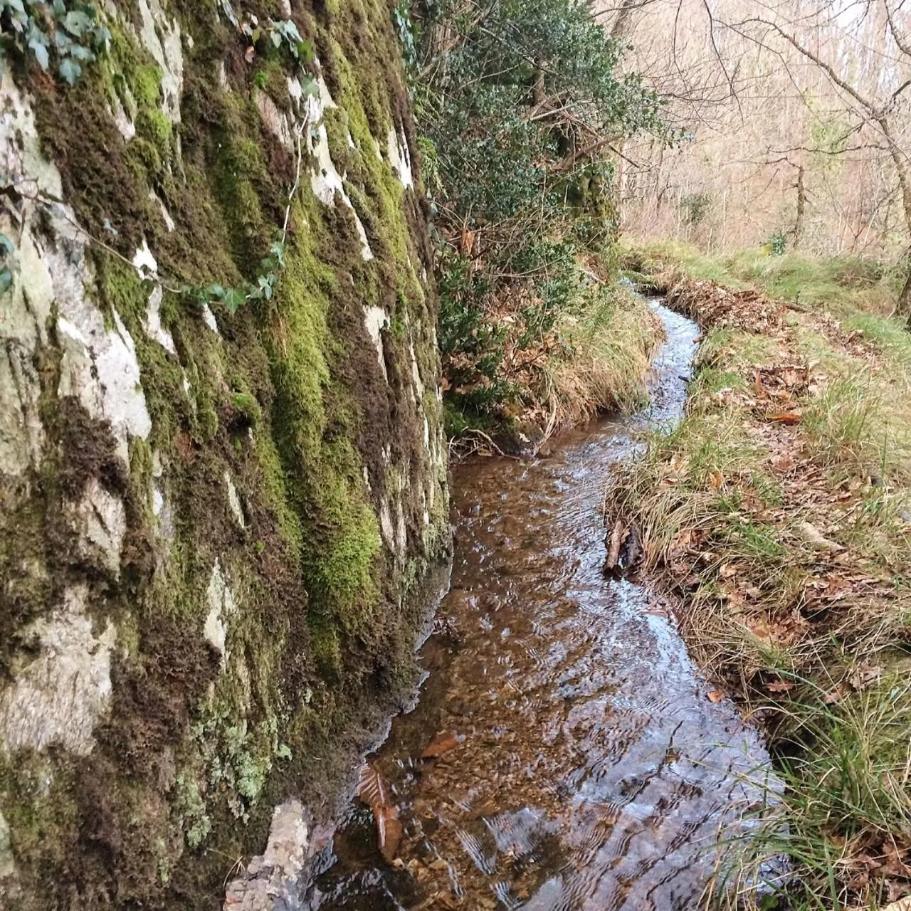 Property building in B and B Sycomore, La Bouriotte