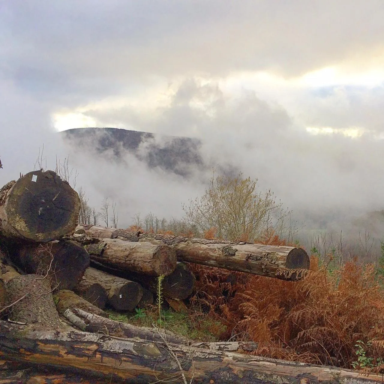 Property building in B and B Sycomore, La Bouriotte