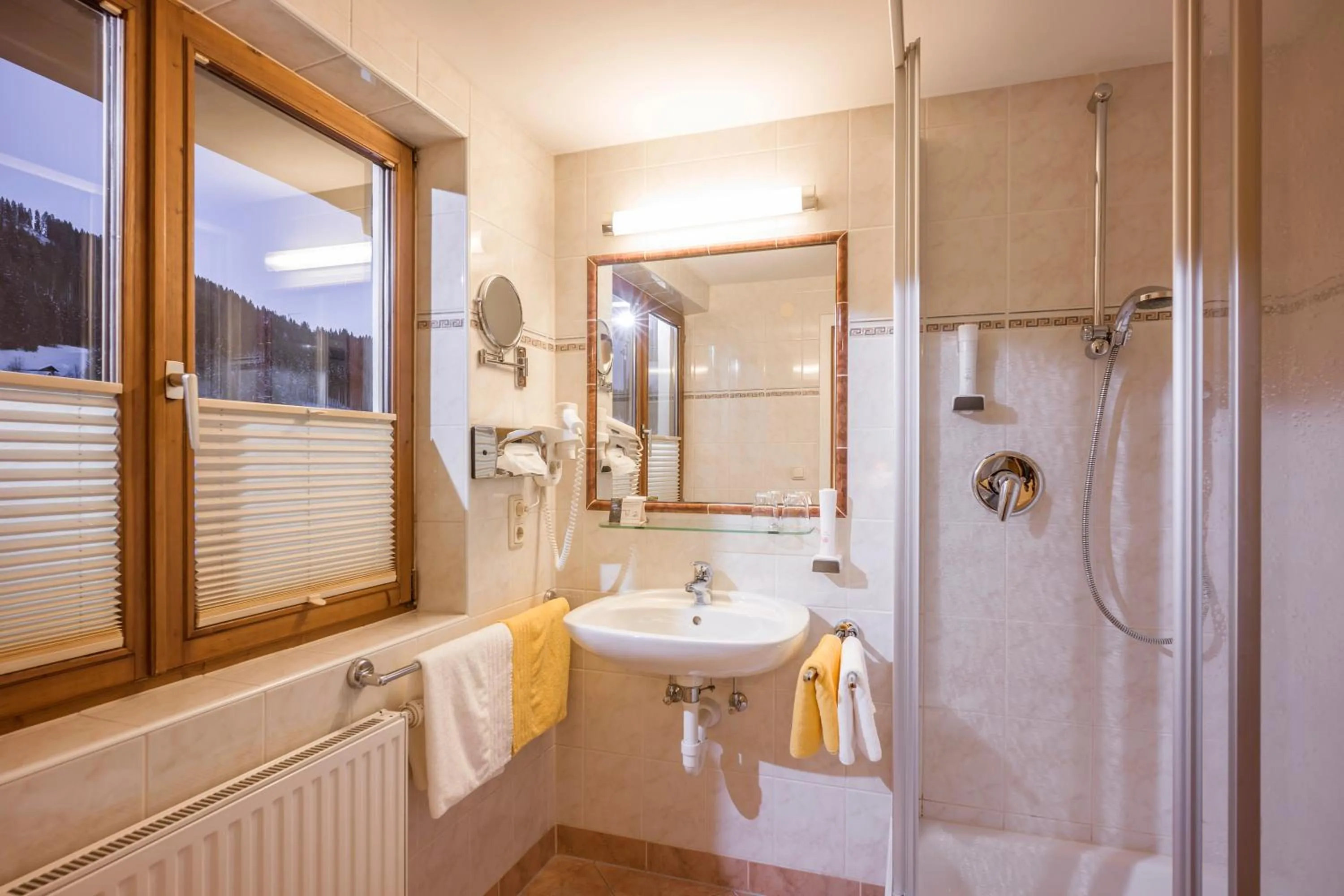 Shower in Hotel Bichlingerhof