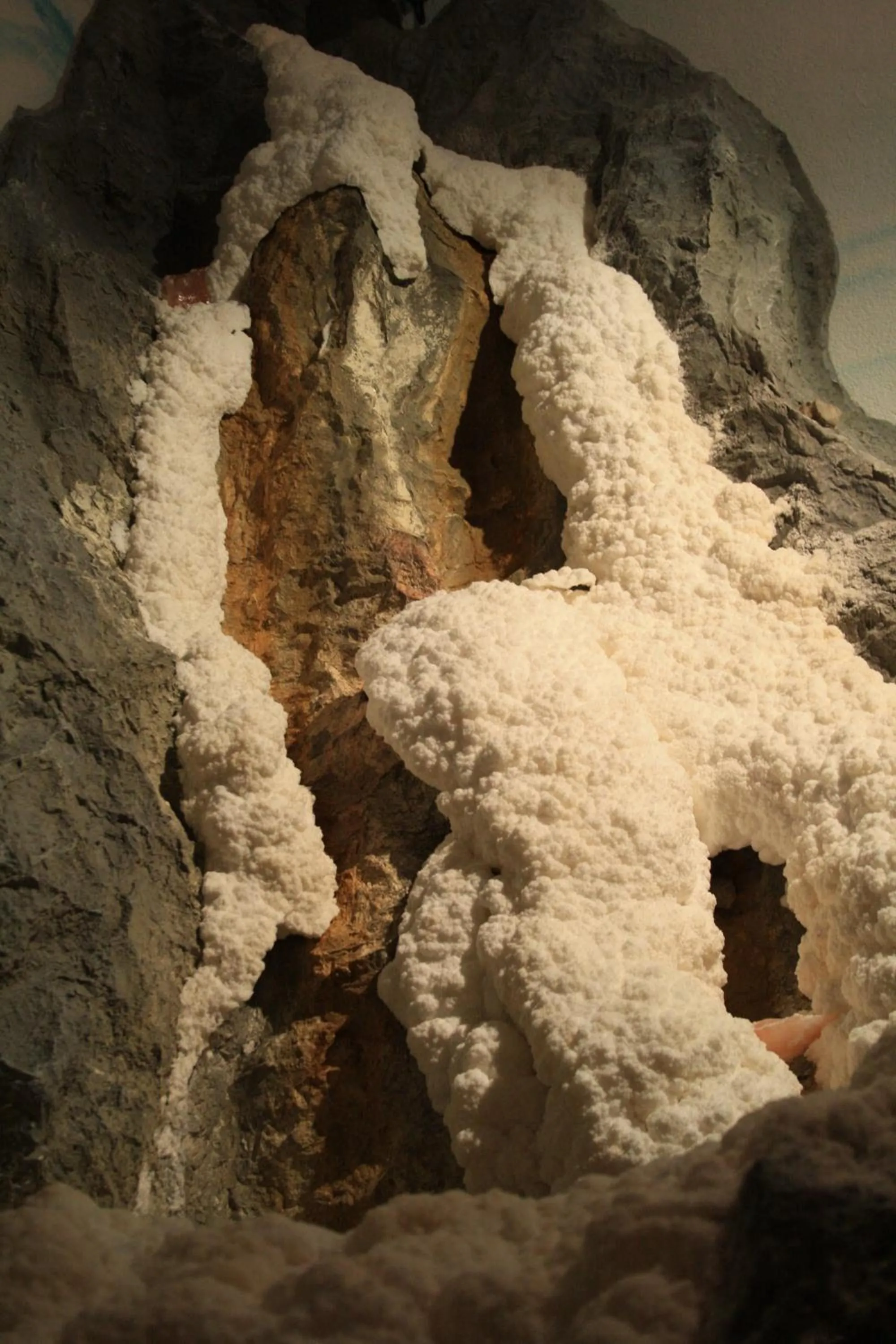 Other in Hotel Bichlingerhof