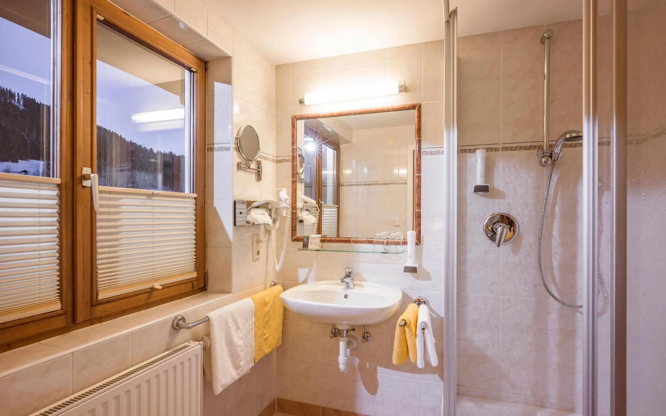 Shower in Hotel Bichlingerhof