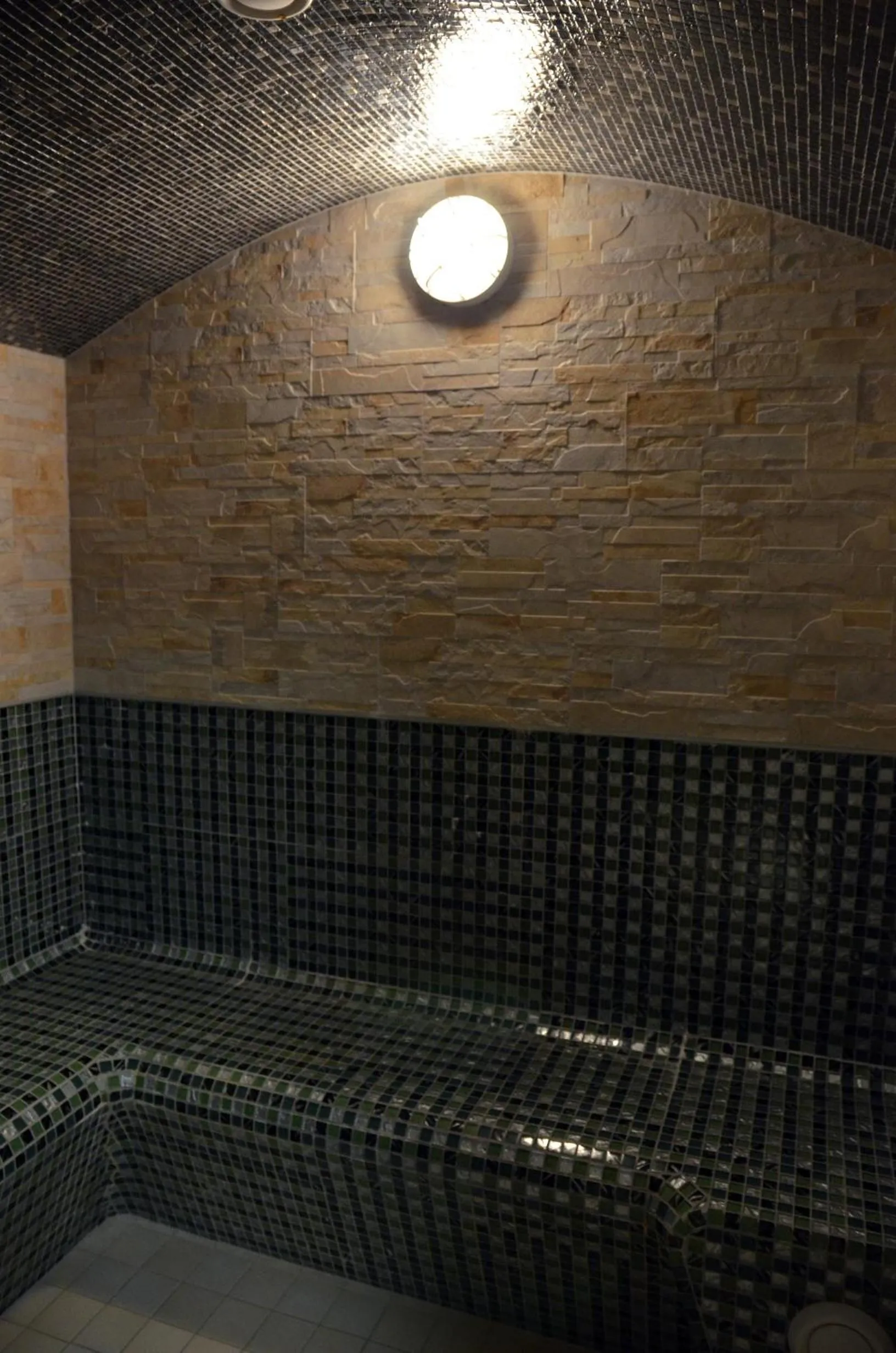 Steam room in Hotel Rauscher - Das Naturteichparadies