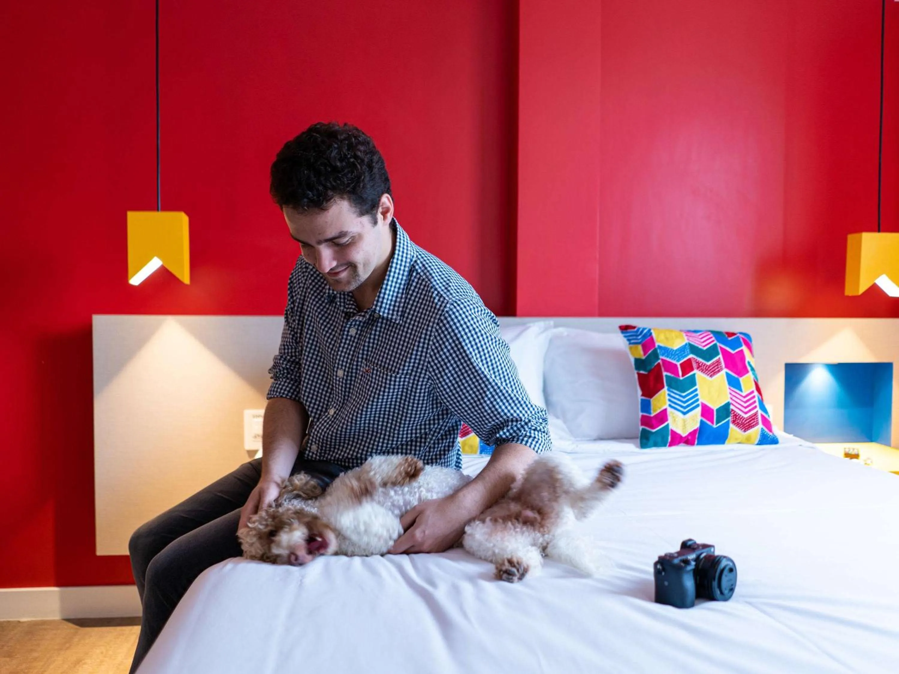 Photo of the whole room, Bed in ibis Styles Campina Grande