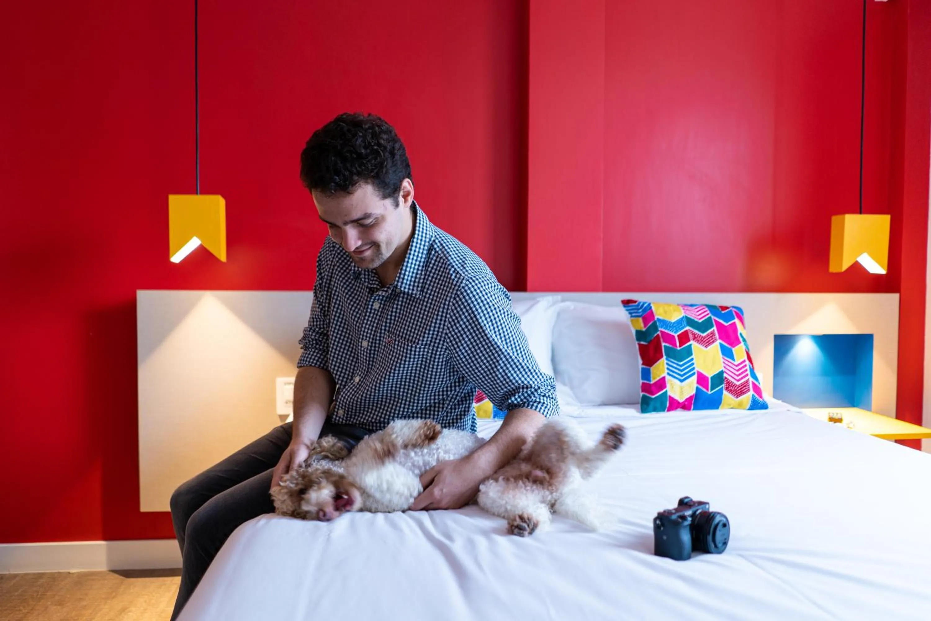 Bed in ibis Styles Campina Grande