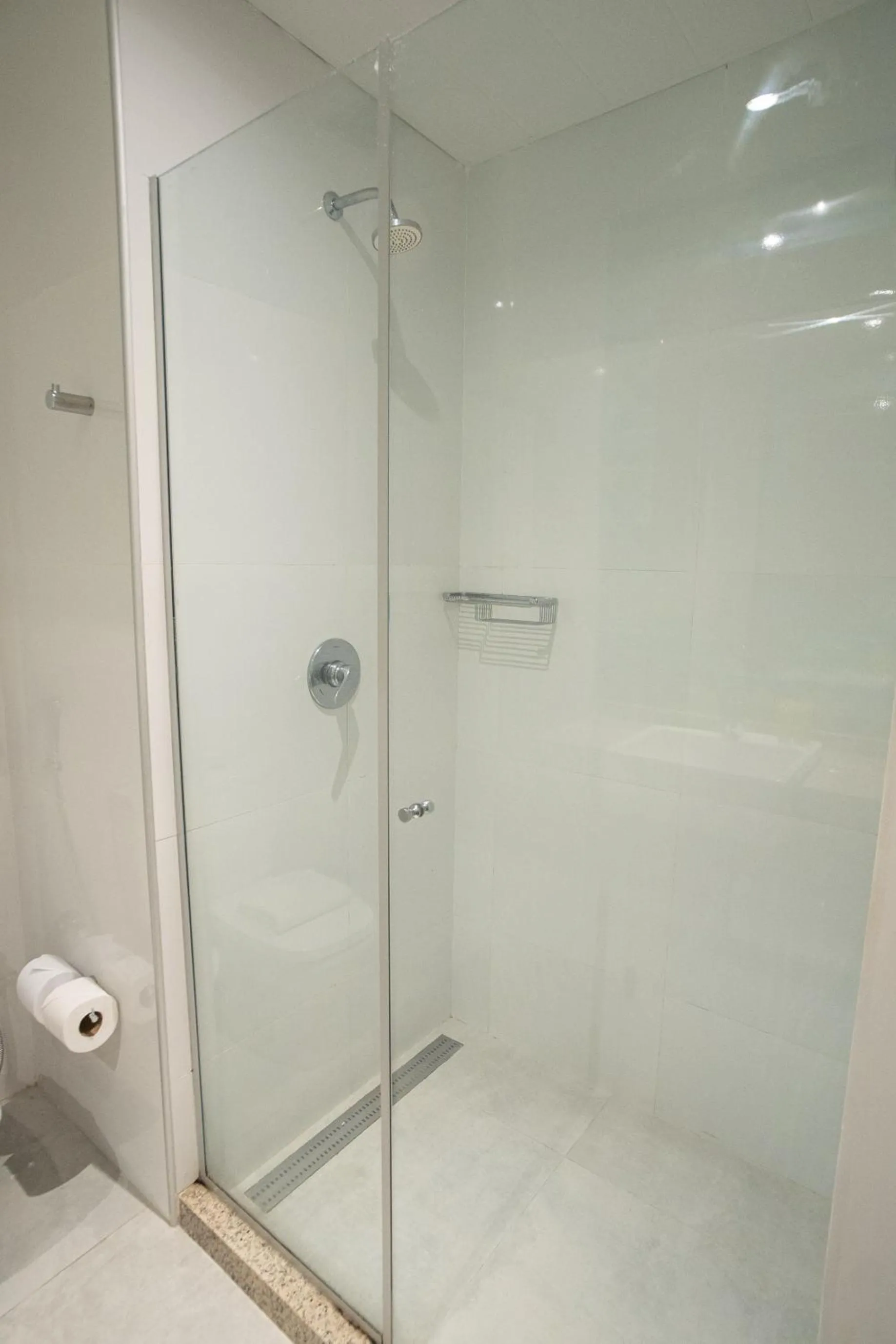 Shower in ibis Styles Campina Grande