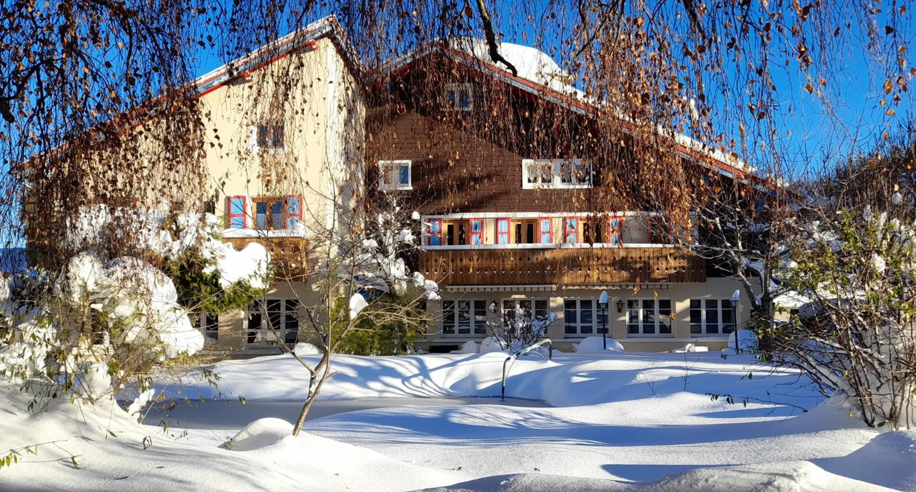 Property building in Hôtel Bellier