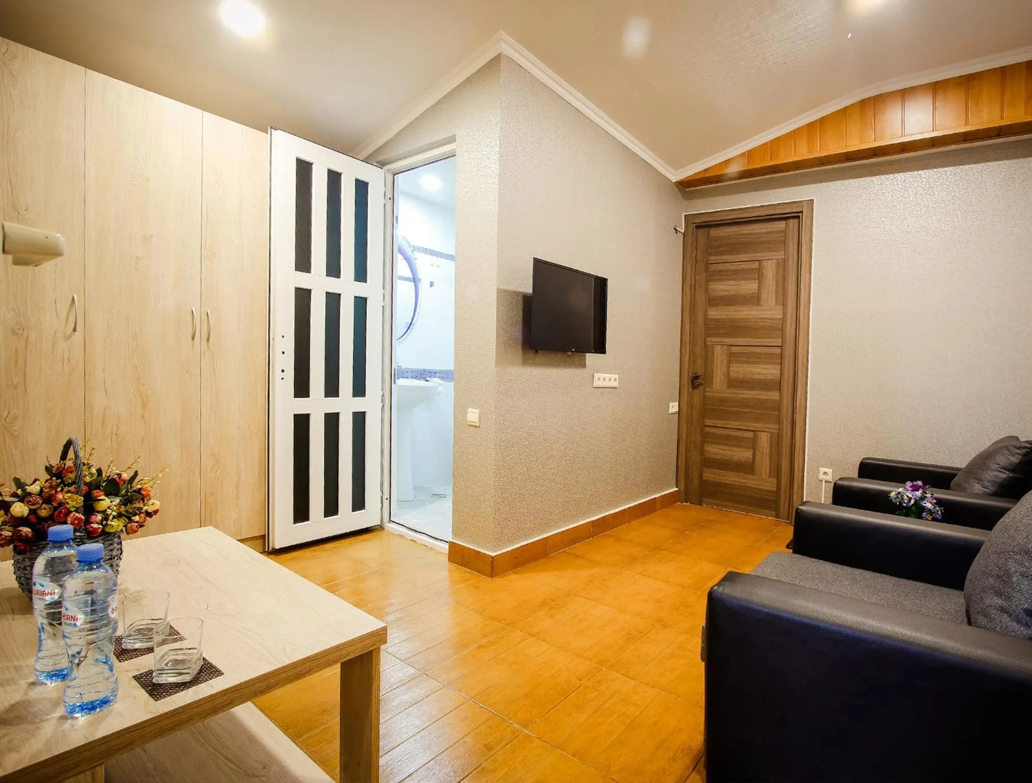 TV and multimedia in Hotel Toma's House