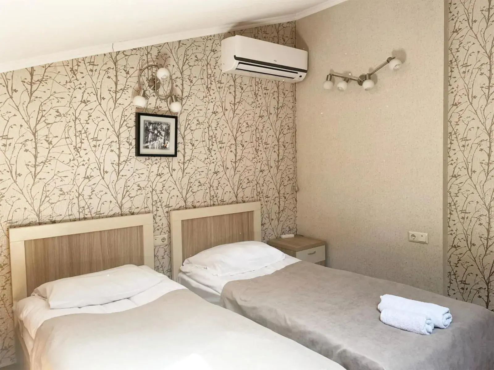 Economy Twin Room - single occupancy in Hotel Toma's House Economy Twin Room - single occupancy in Hotel Toma's House