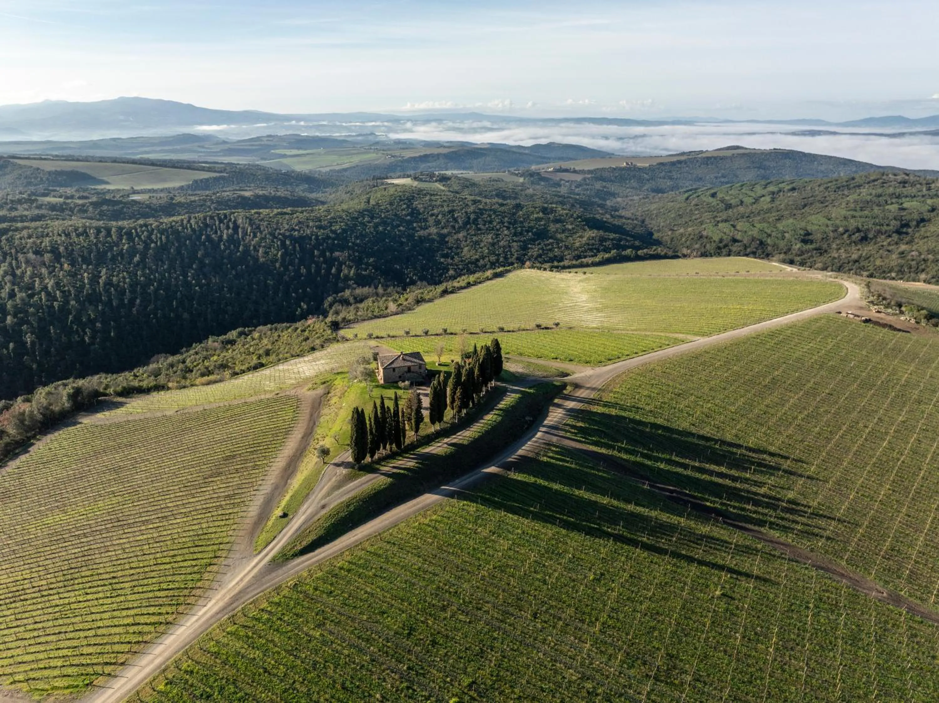 Bird's eye view in Rosewood Castiglion del Bosco