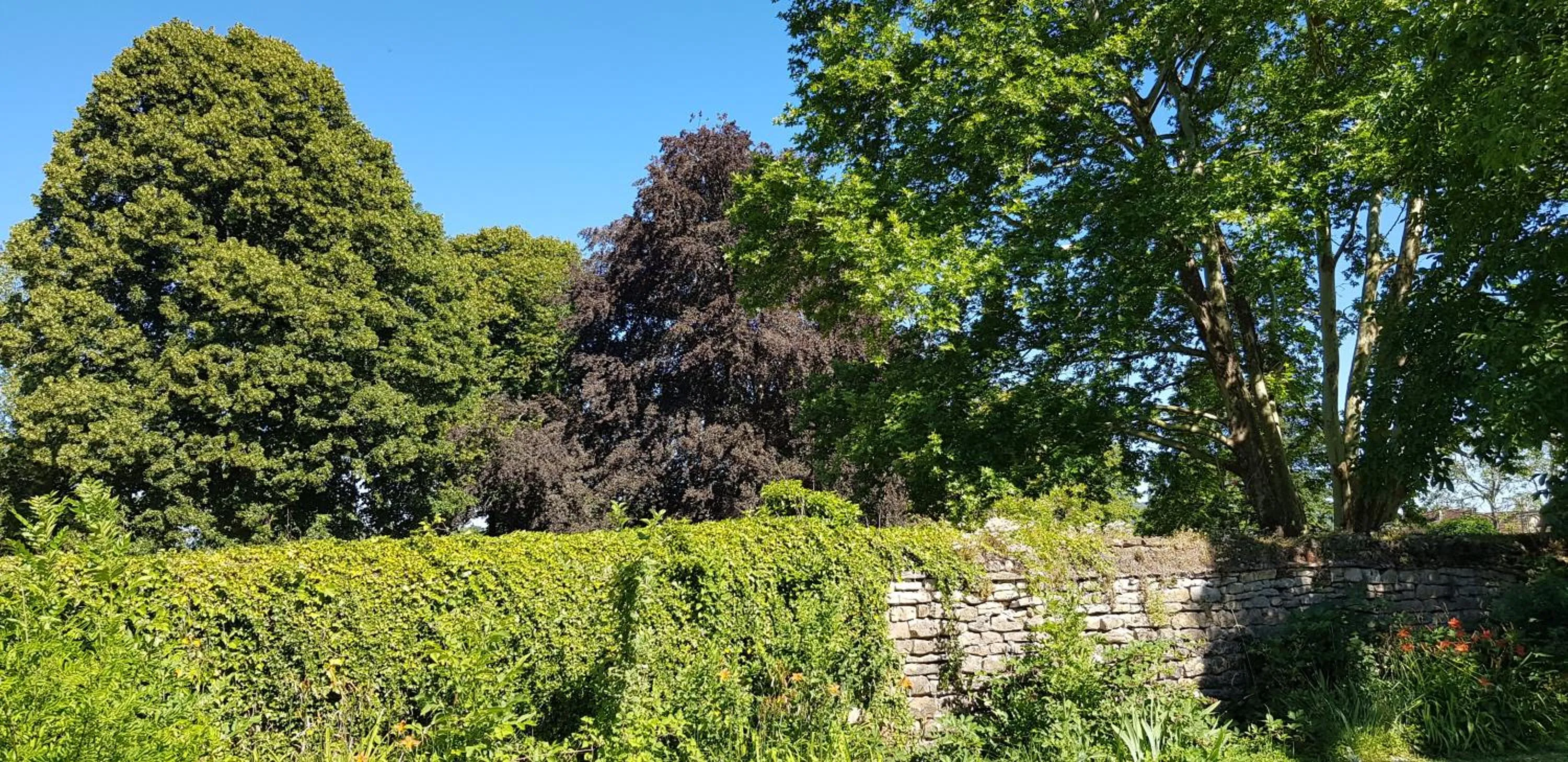Garden in Le 49 Côté Parc & SPA