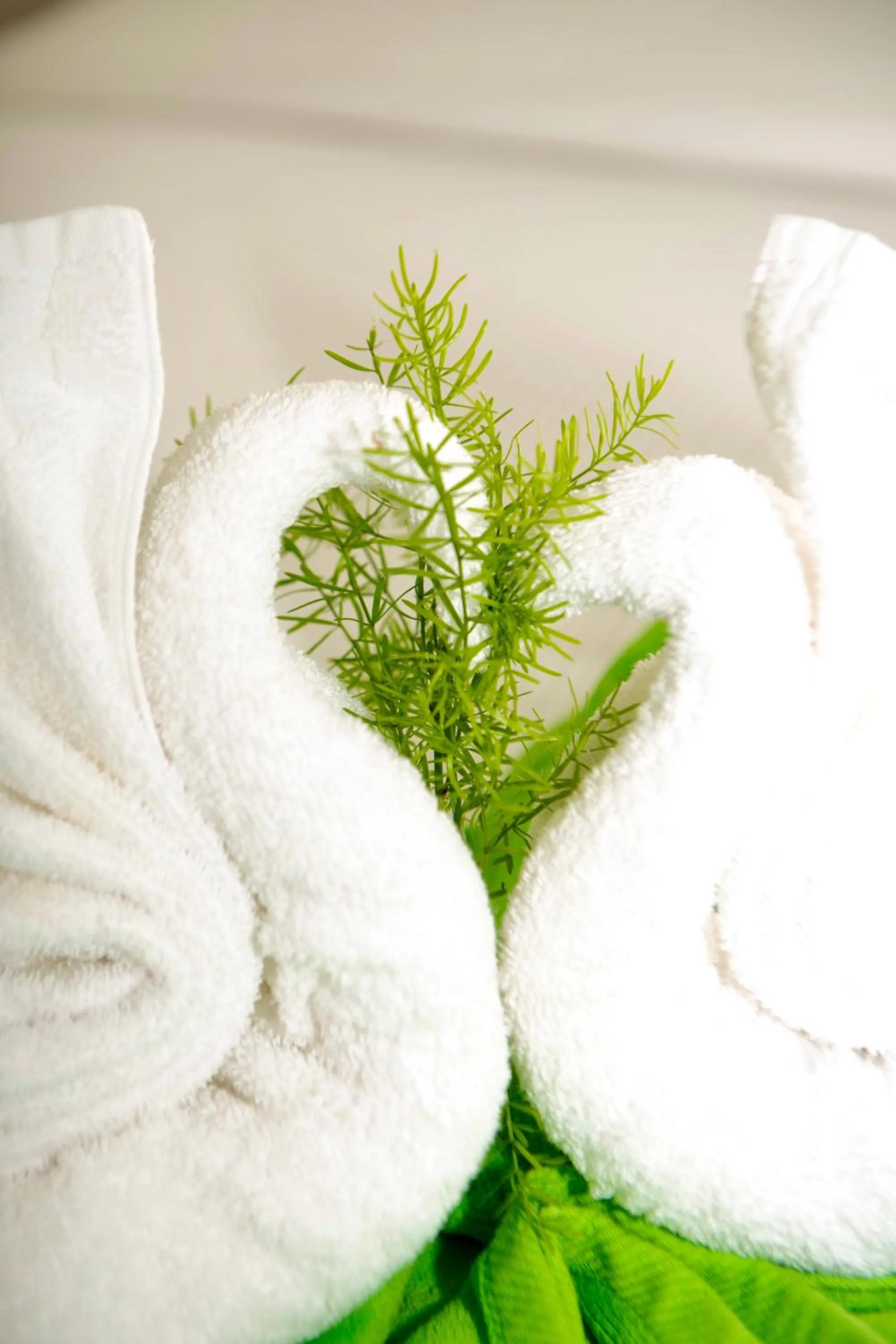 Bedroom in Ports of Call Resort