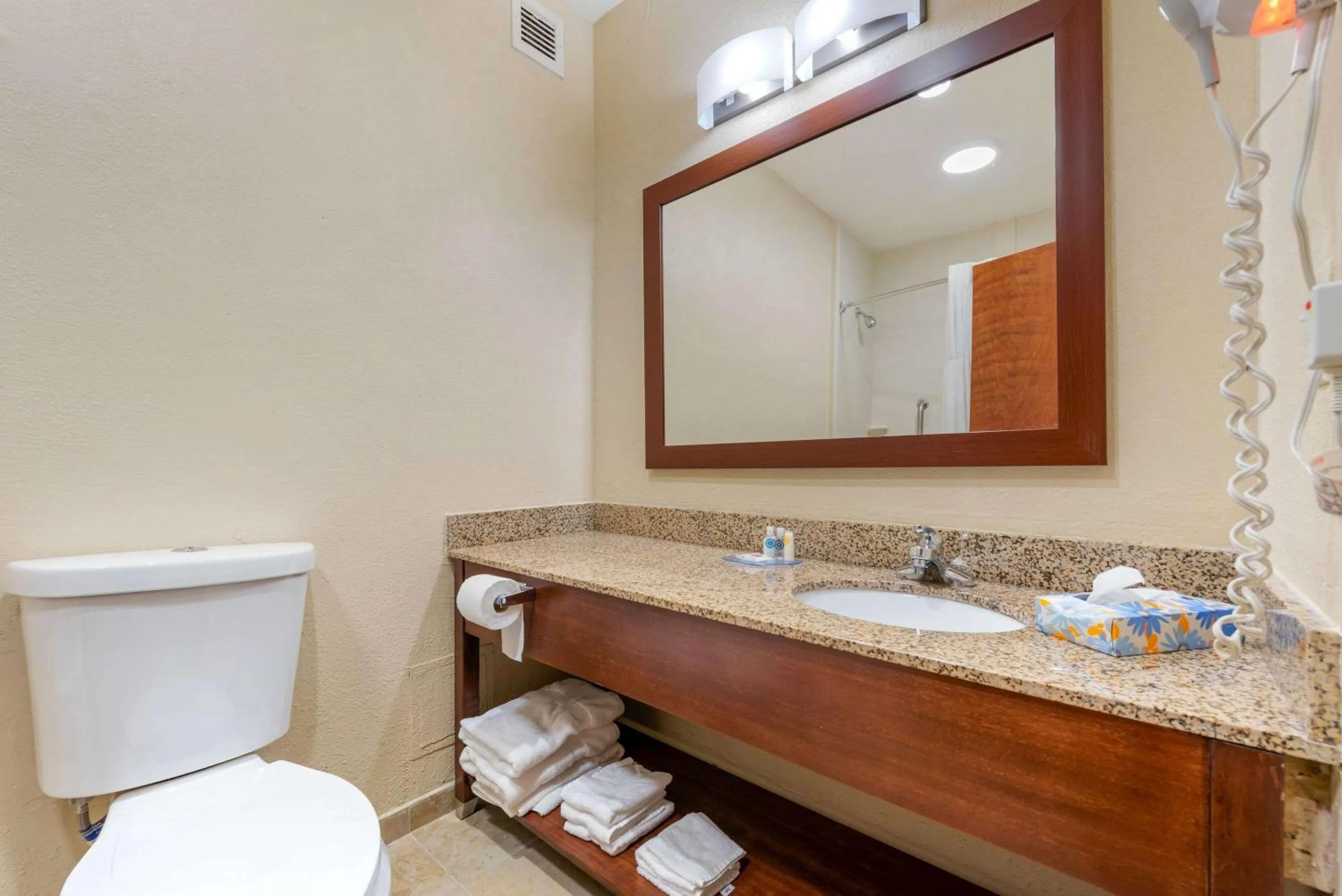 Toilet in Comfort Inn & Suites