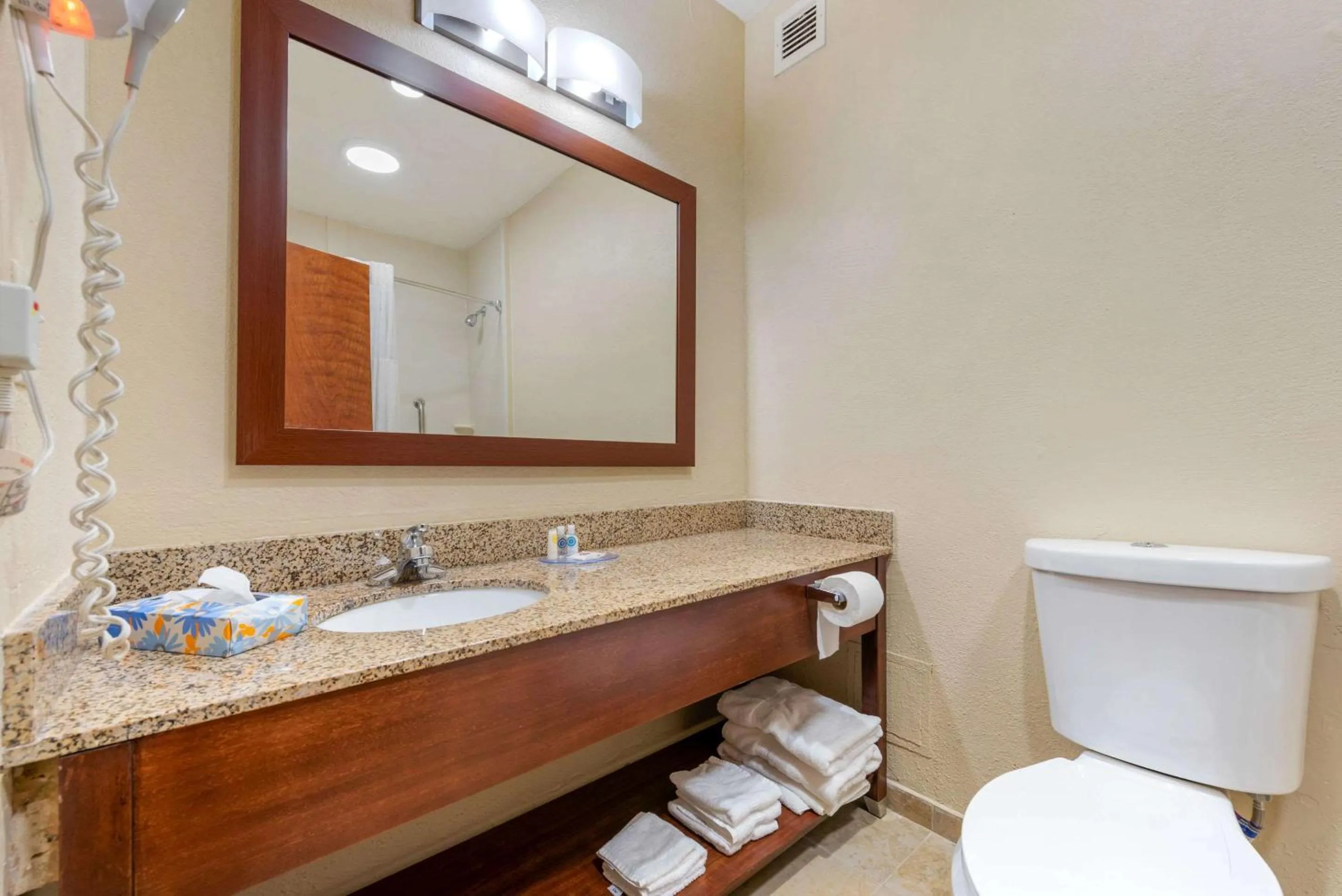 Toilet in Comfort Inn & Suites