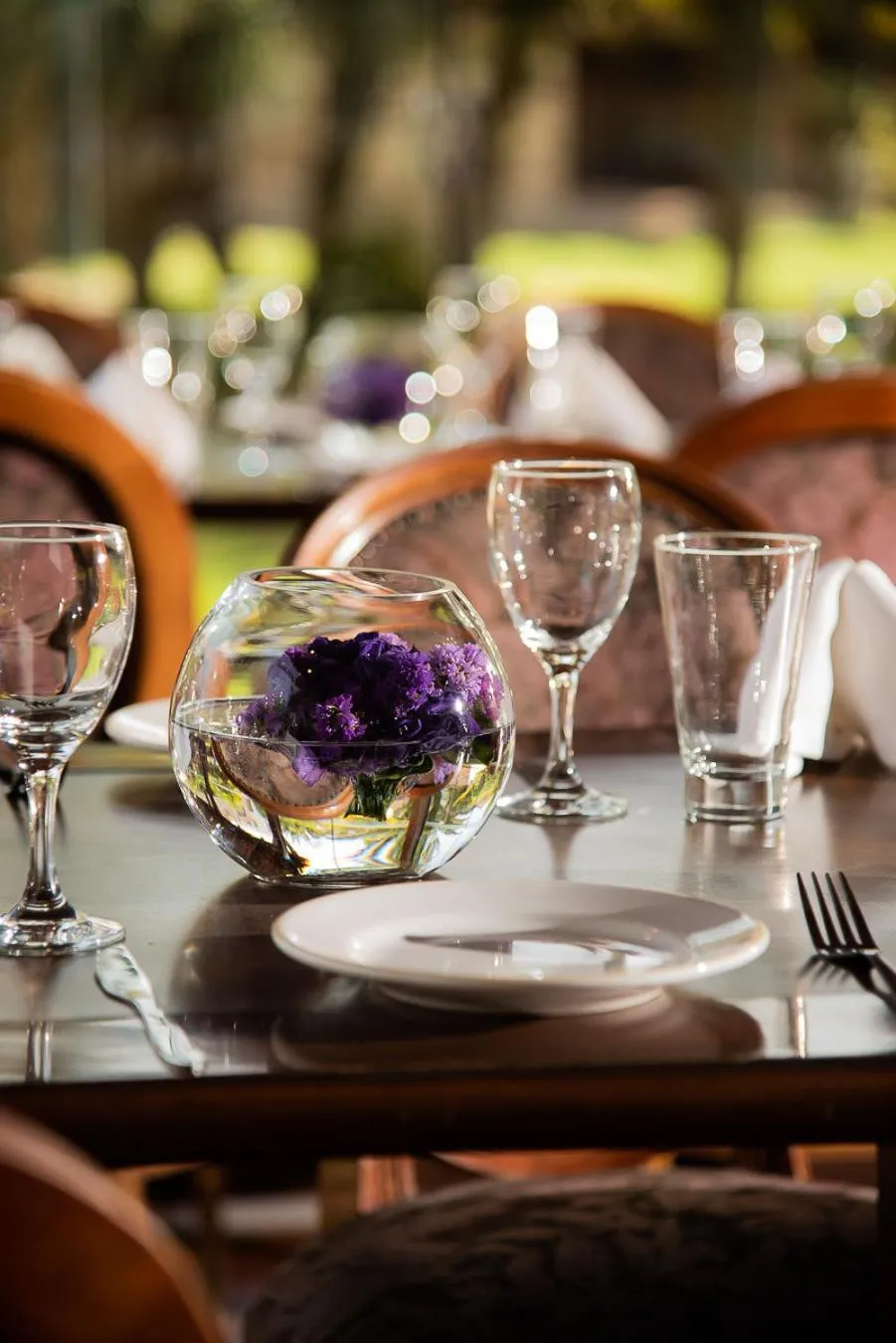 Restaurant/places to eat in AVANTI HOTEL & CONVENTION CENTER