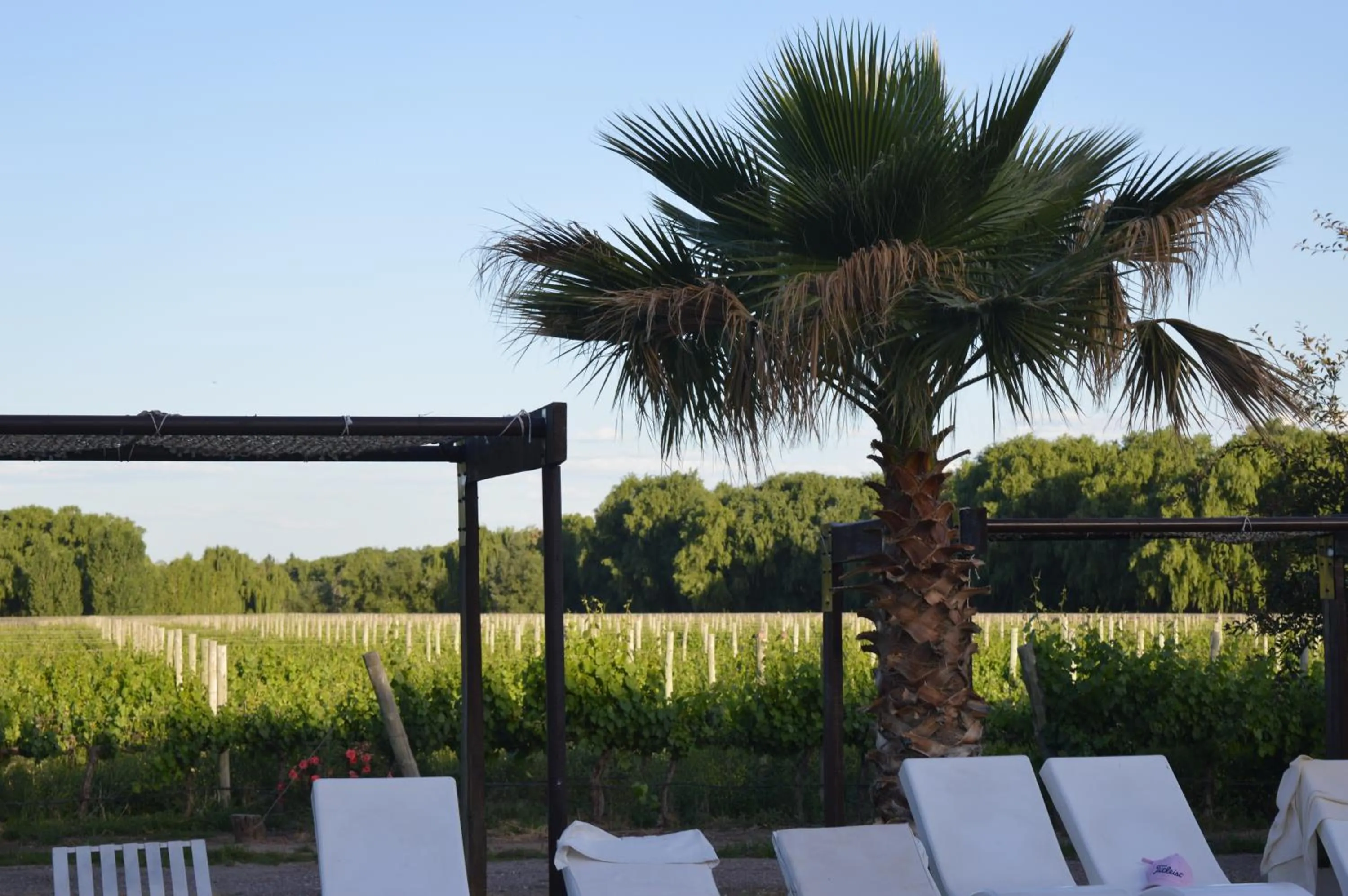 Natural landscape in Fuente Mayor Hotel & Casino