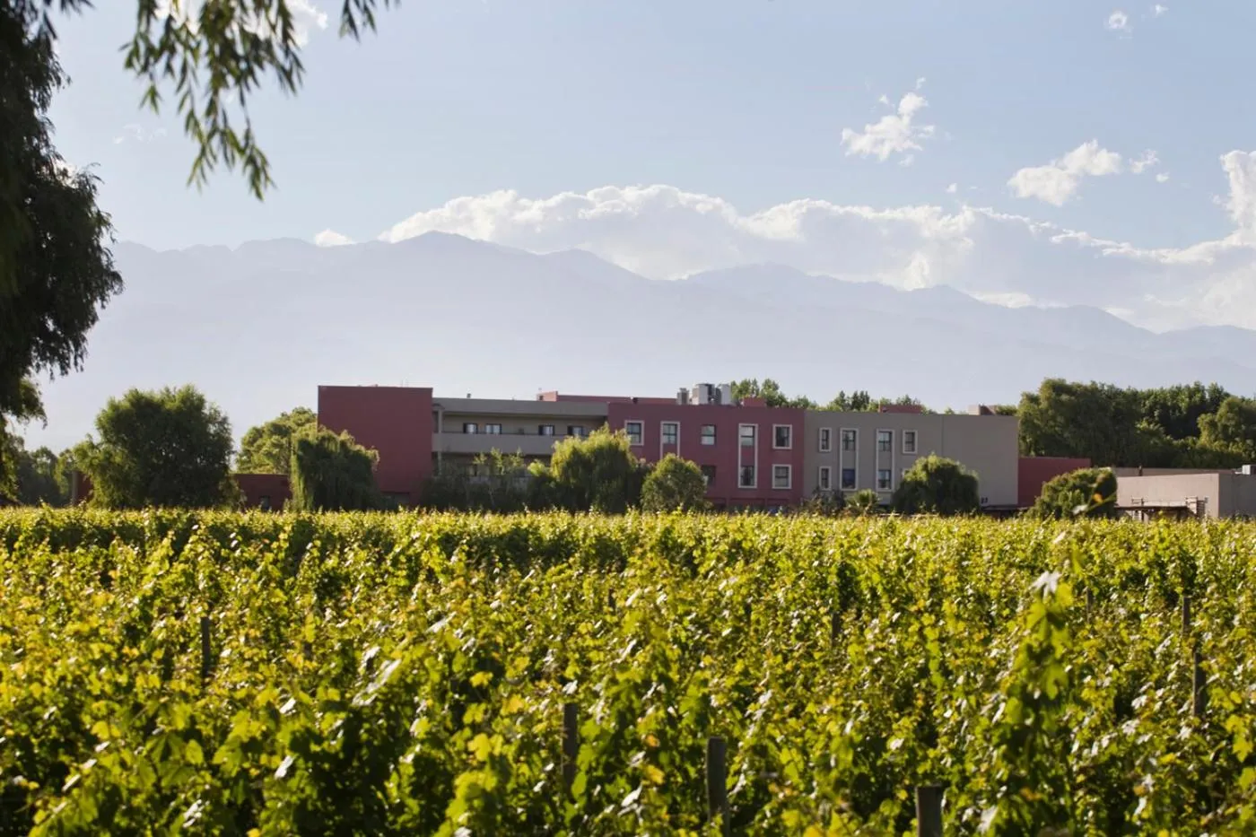 Mountain view in Fuente Mayor Hotel & Casino