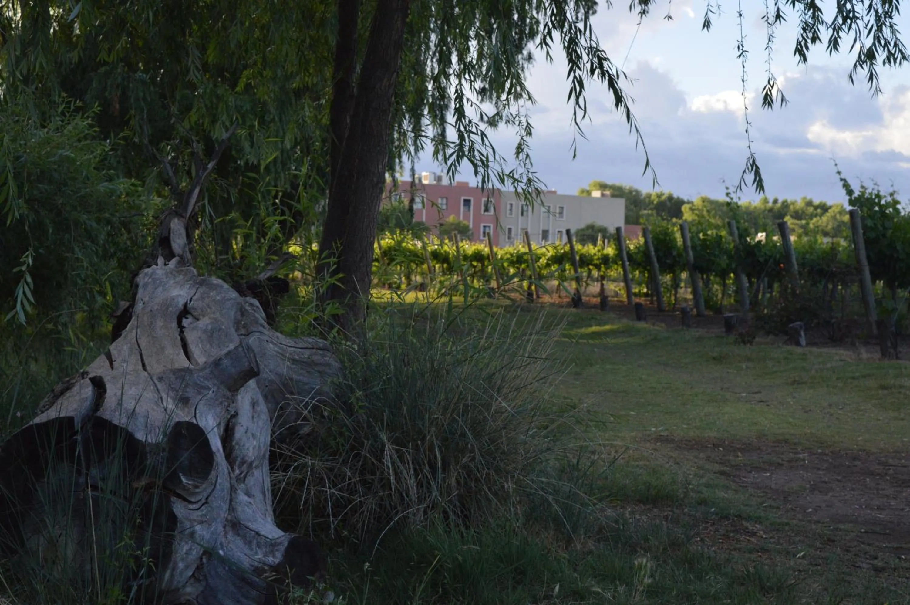 Nearby landmark in Fuente Mayor Hotel & Casino