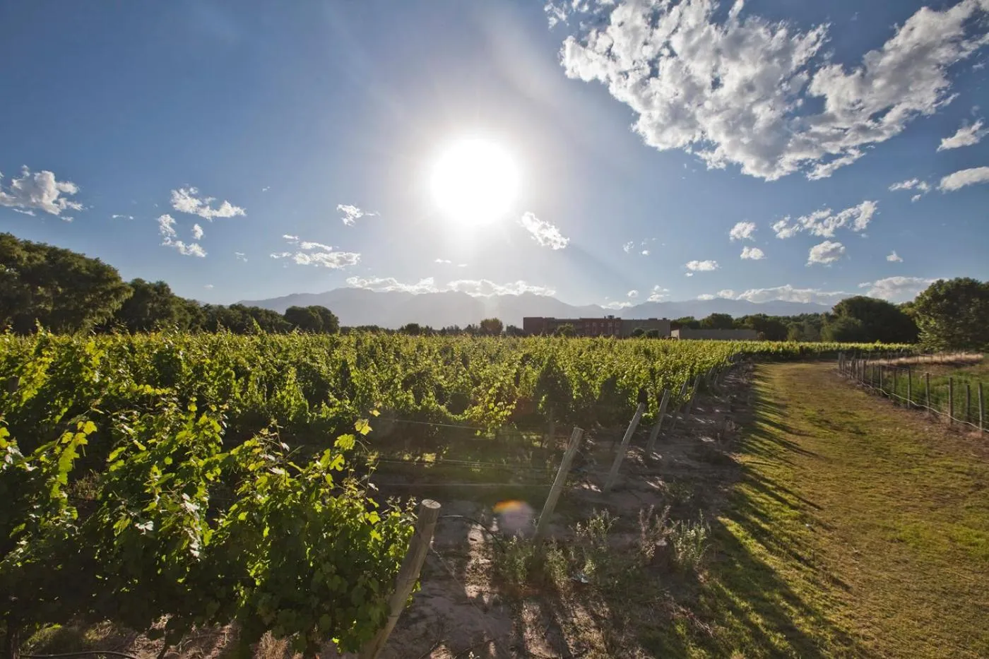 Nearby landmark in Fuente Mayor Hotel & Casino