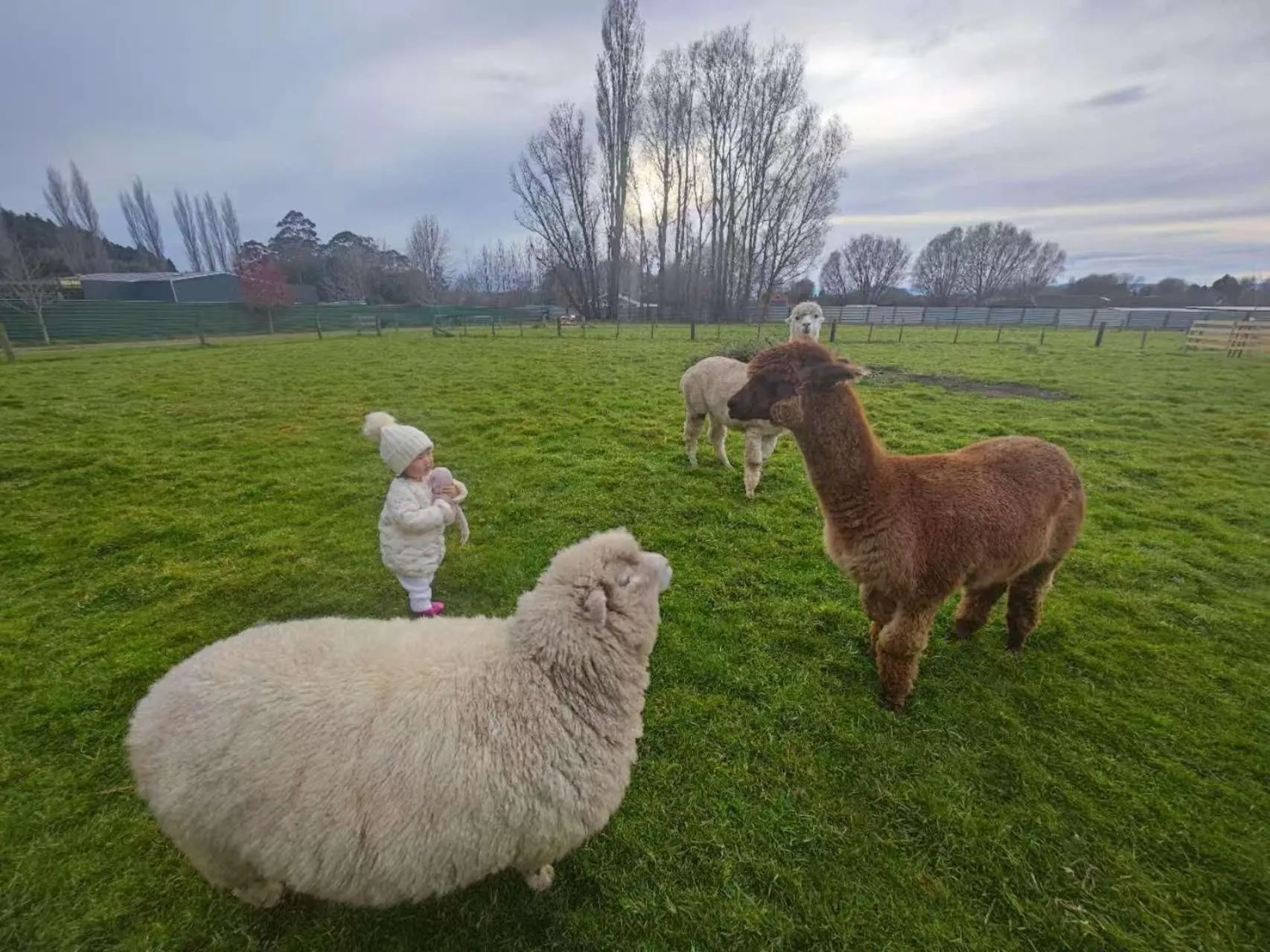 Day in Hideaway of Rotorua