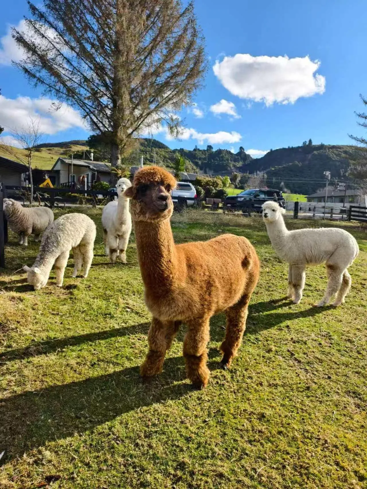 Property building in Hideaway of Rotorua