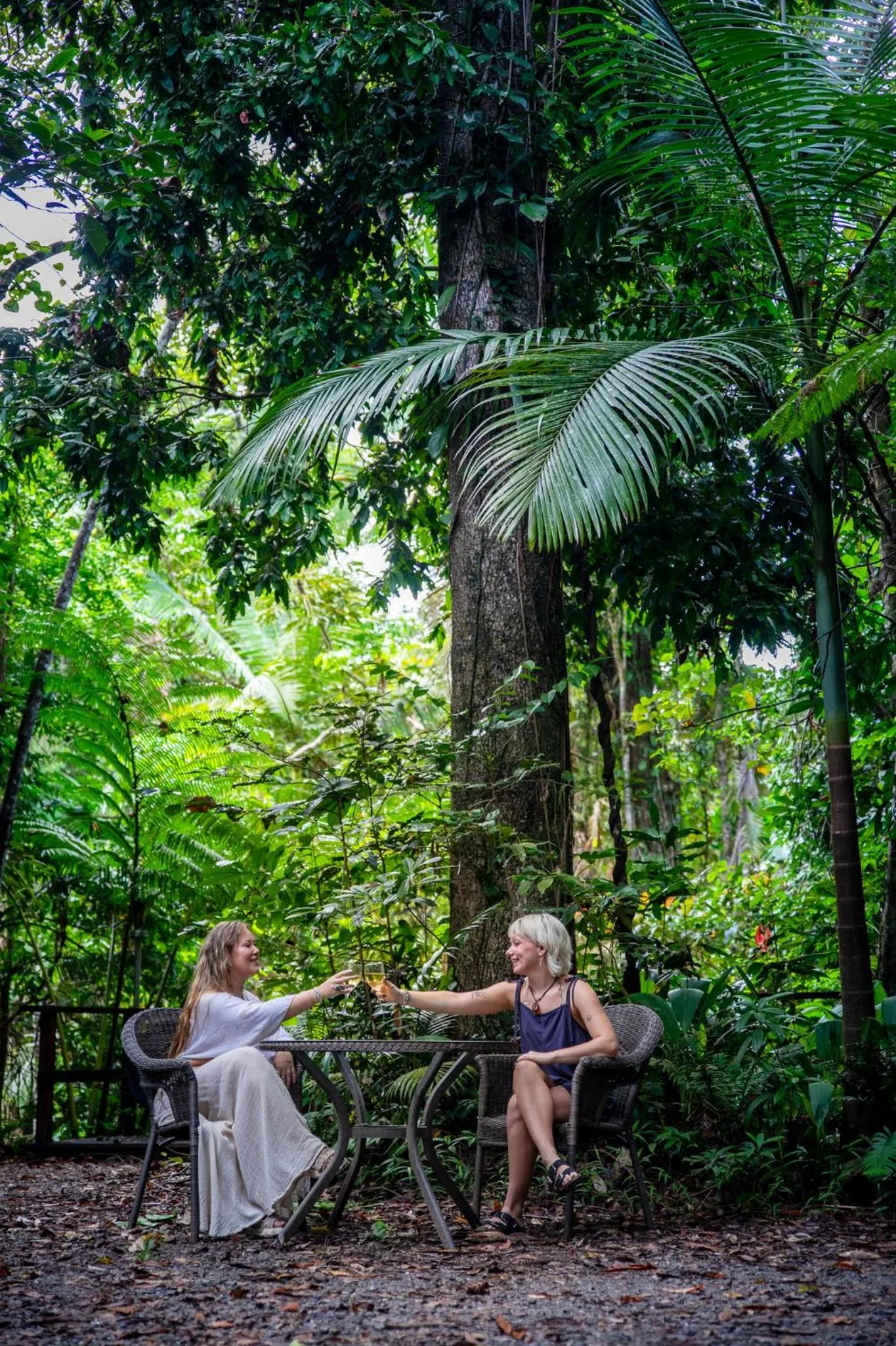 View (from property/room) in Heritage Lodge - in the Daintree