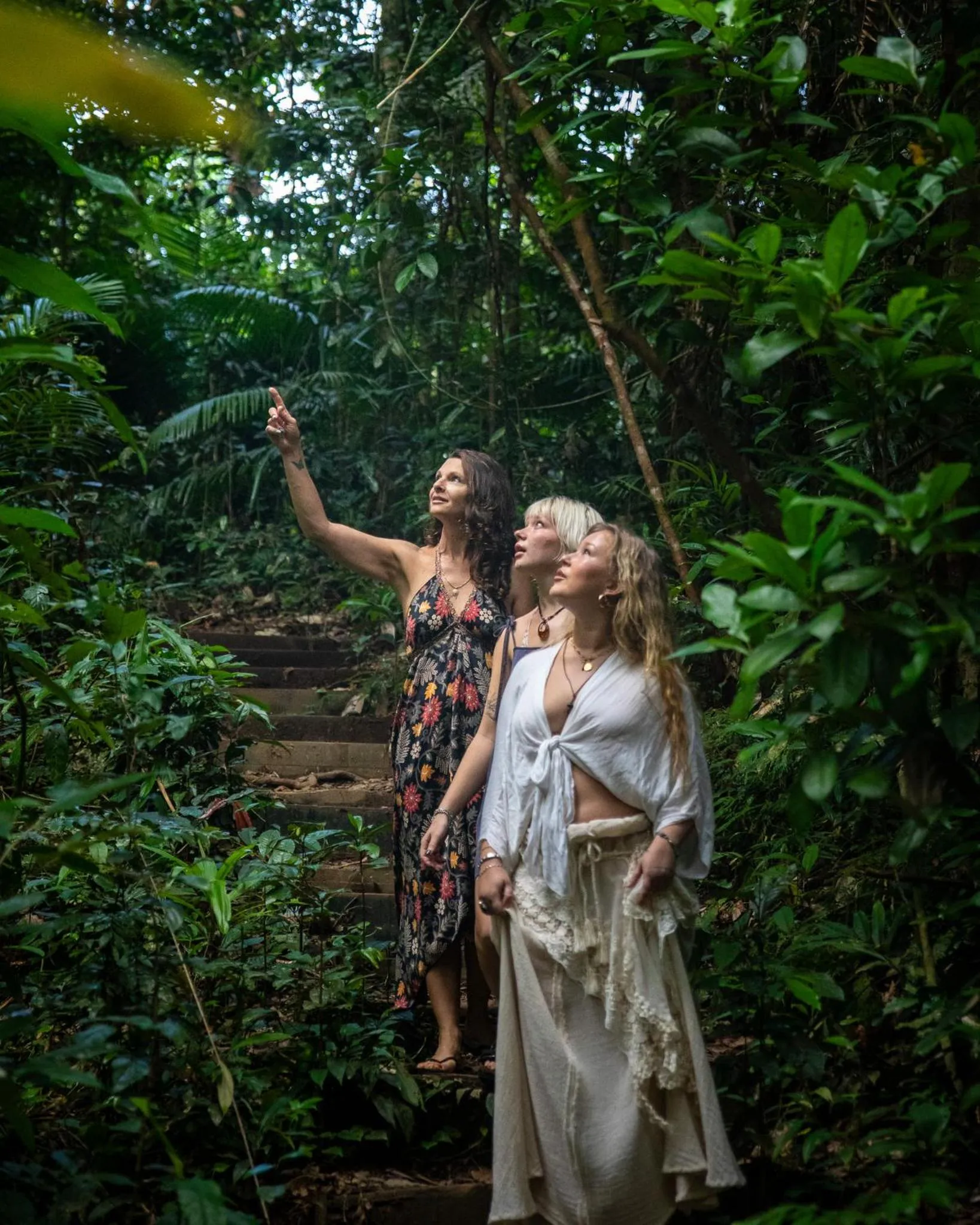 View (from property/room) in Heritage Lodge - in the Daintree