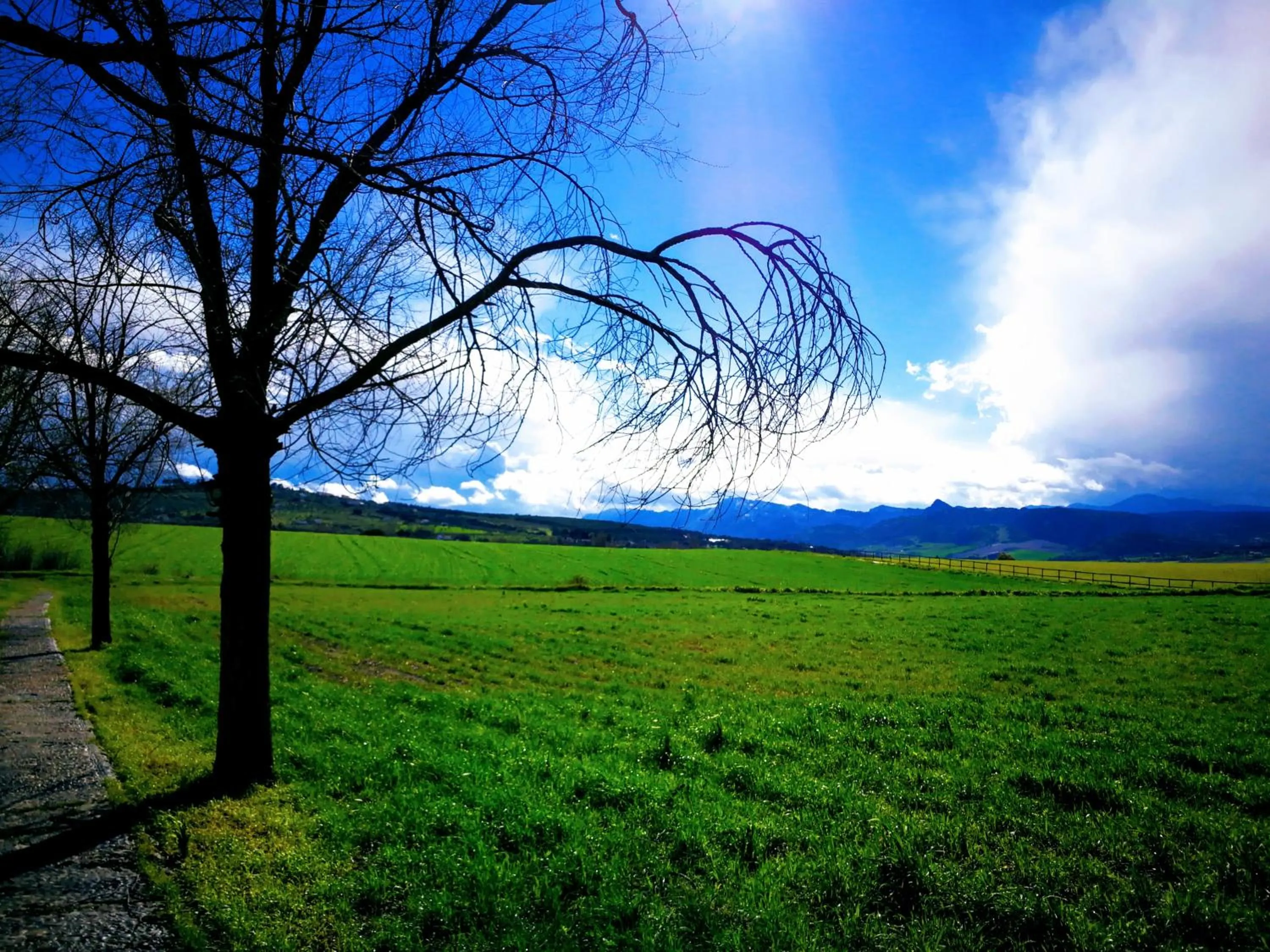 Garden in Hotel Ronda Moments