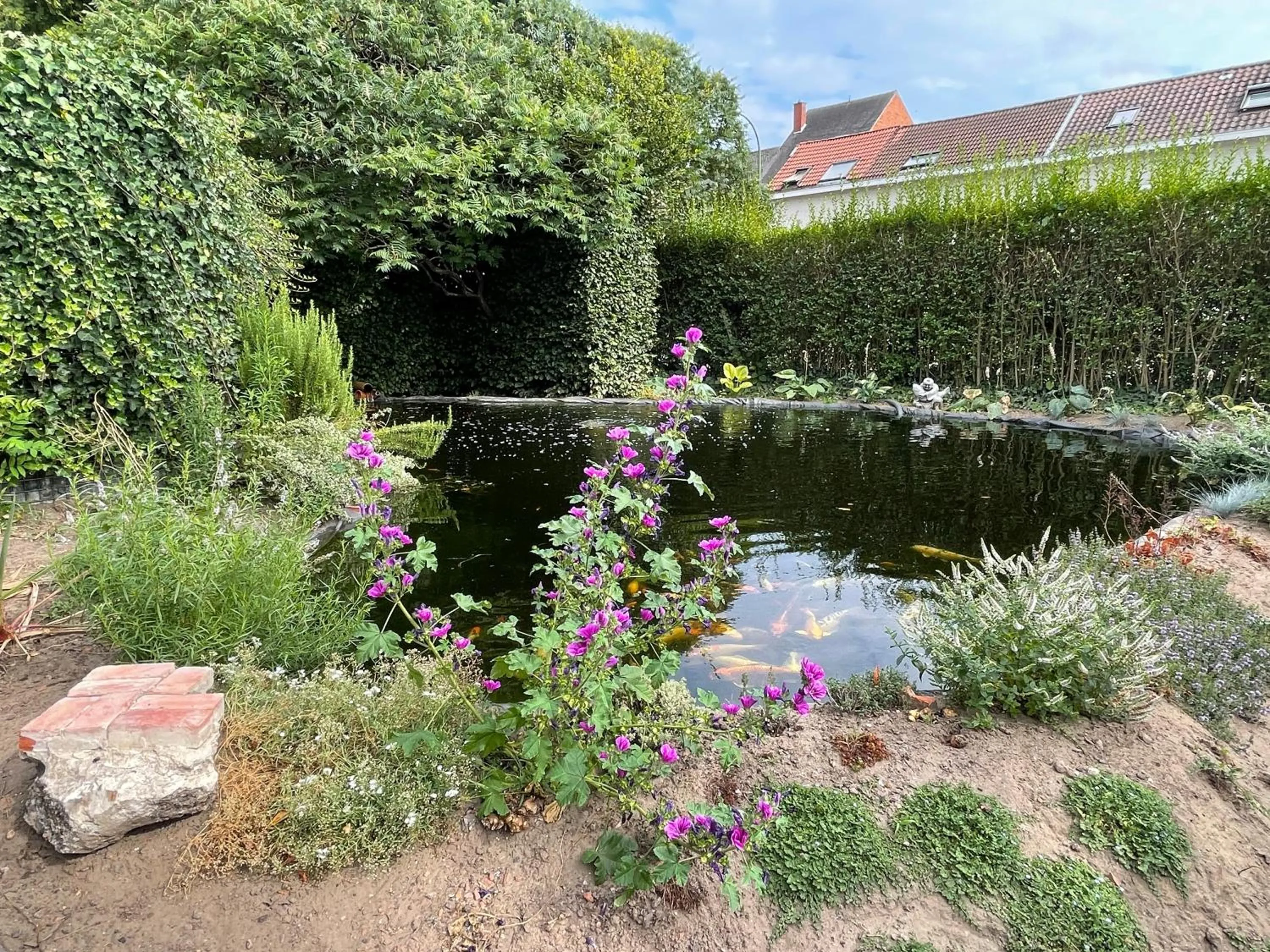 Garden in Maison Stout