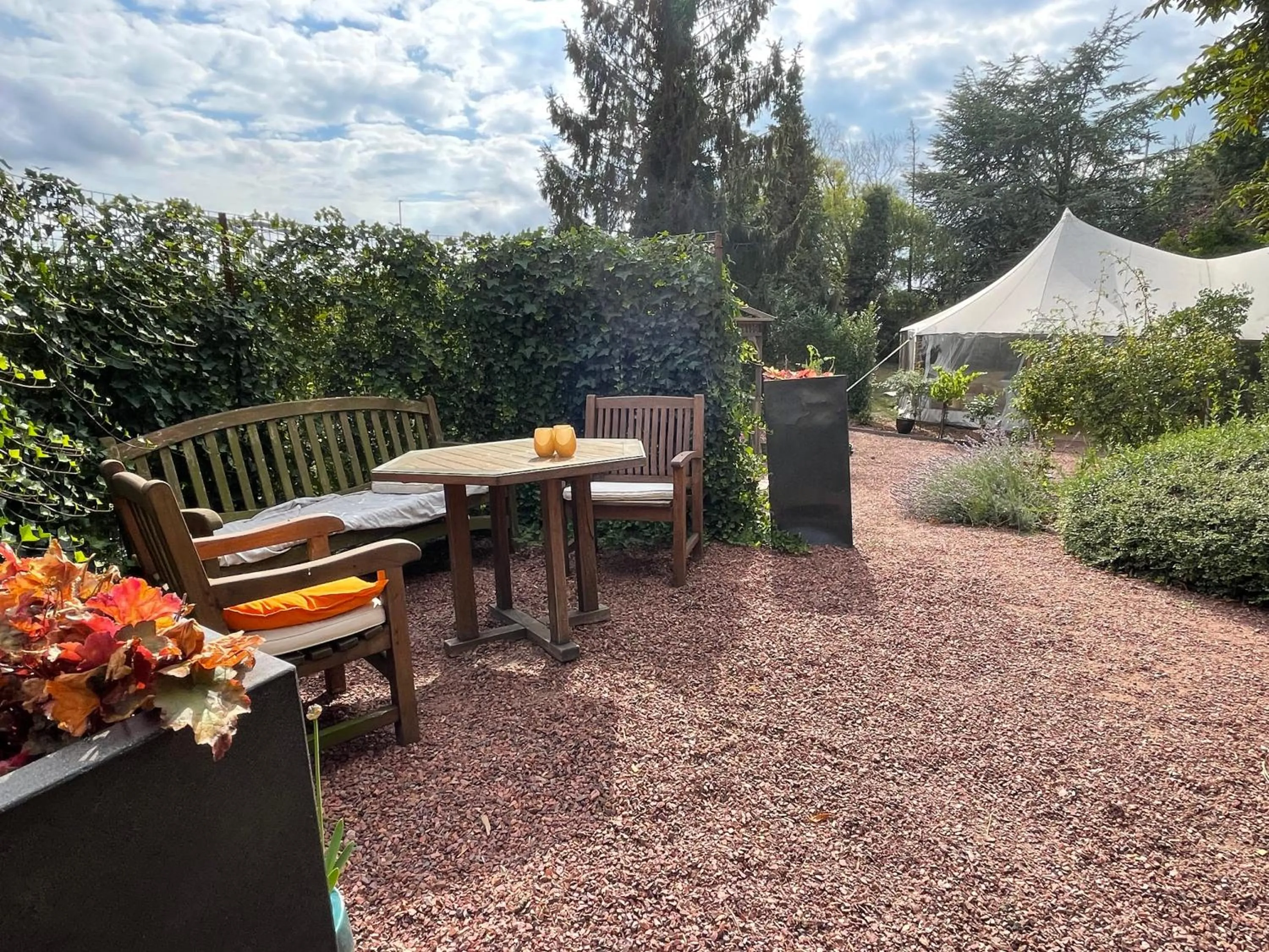 Garden in Maison Stout