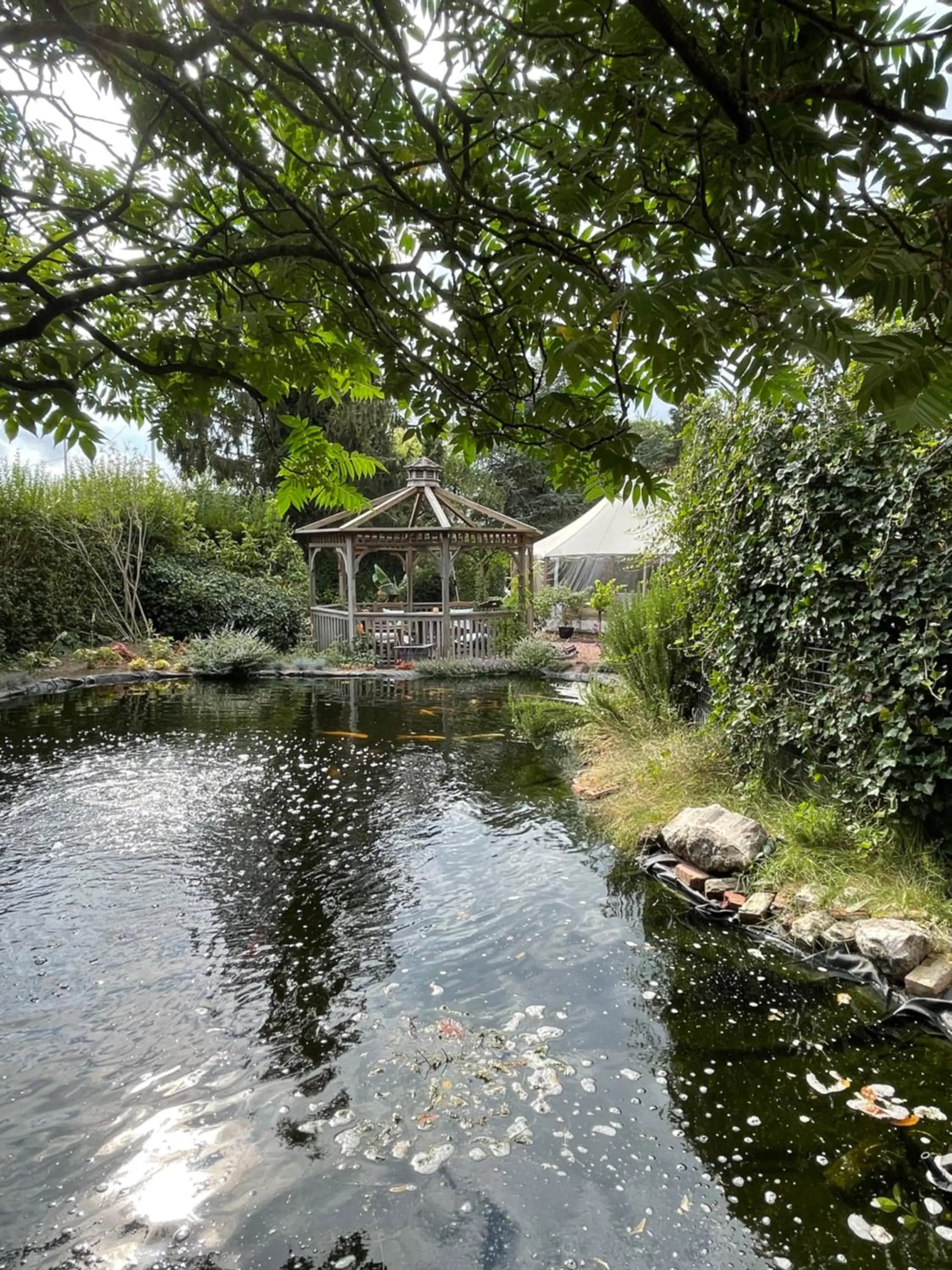 Garden in Maison Stout