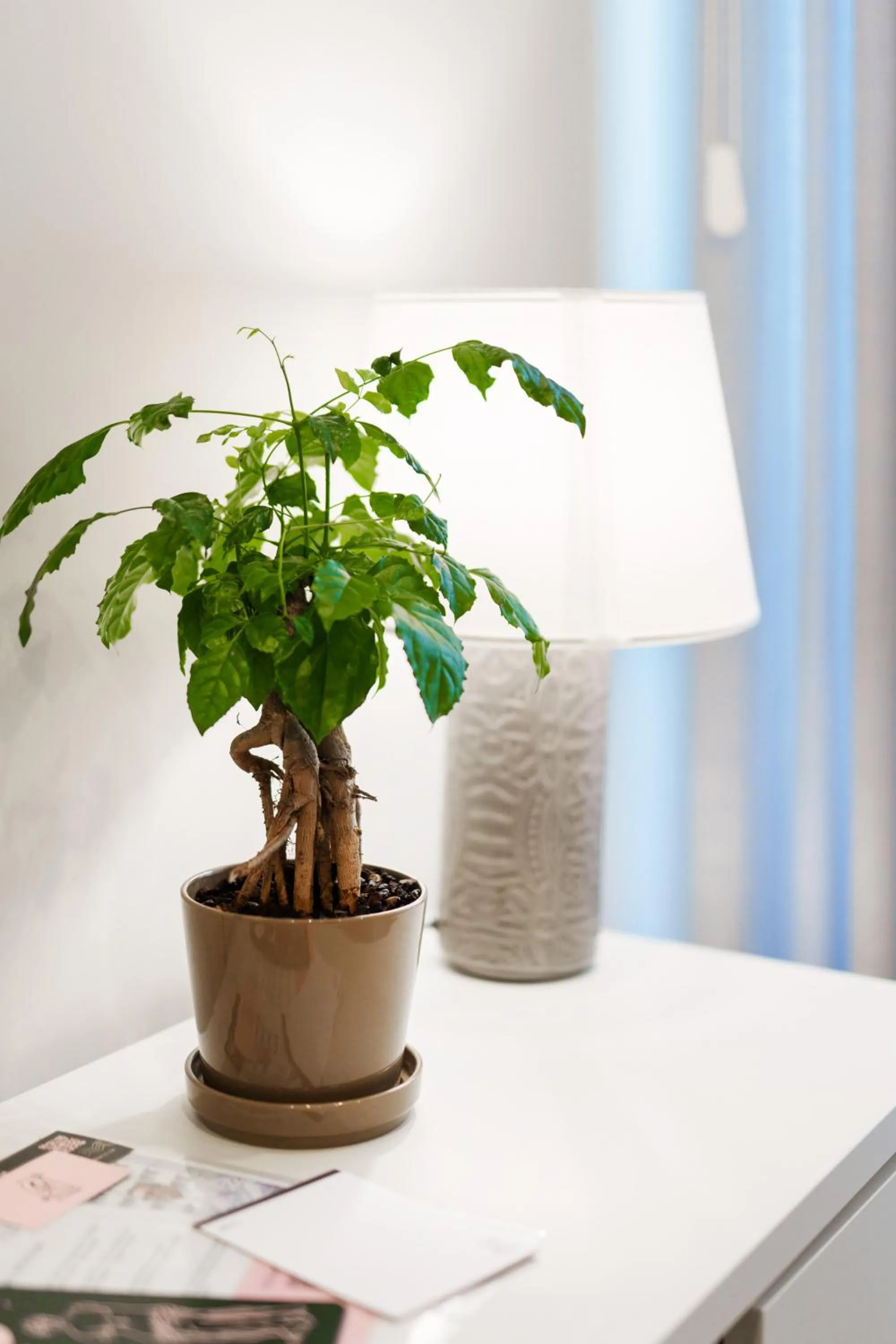 Decorative detail in It's Room Naples