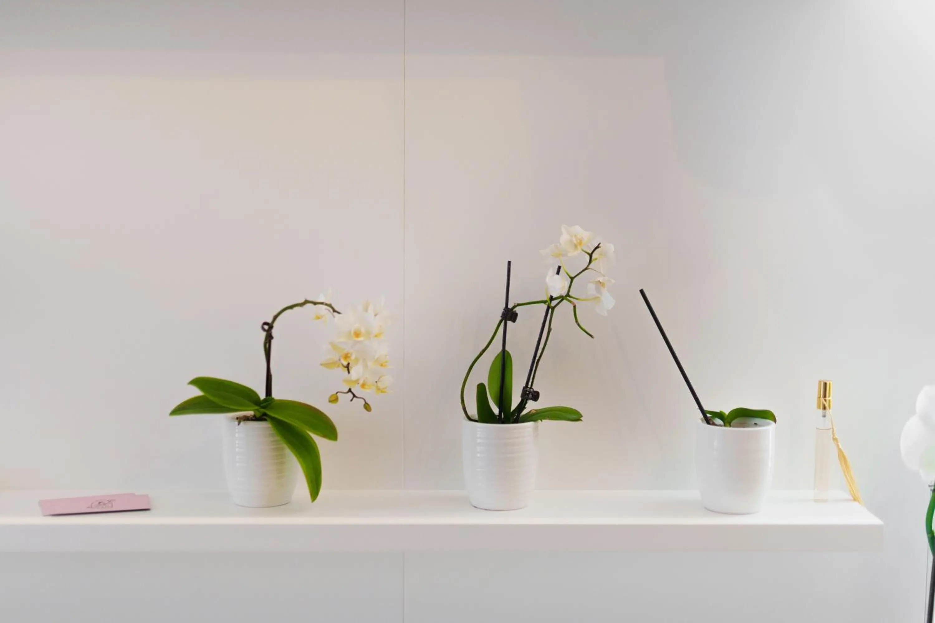 Lobby or reception in It's Room Naples