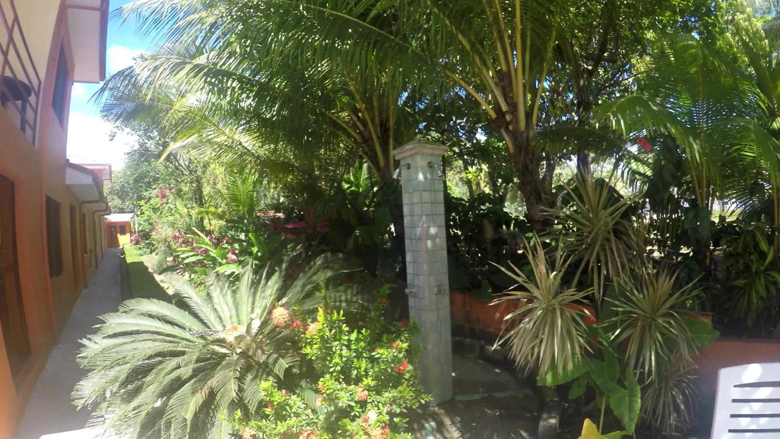 Garden in La Dolce Vita