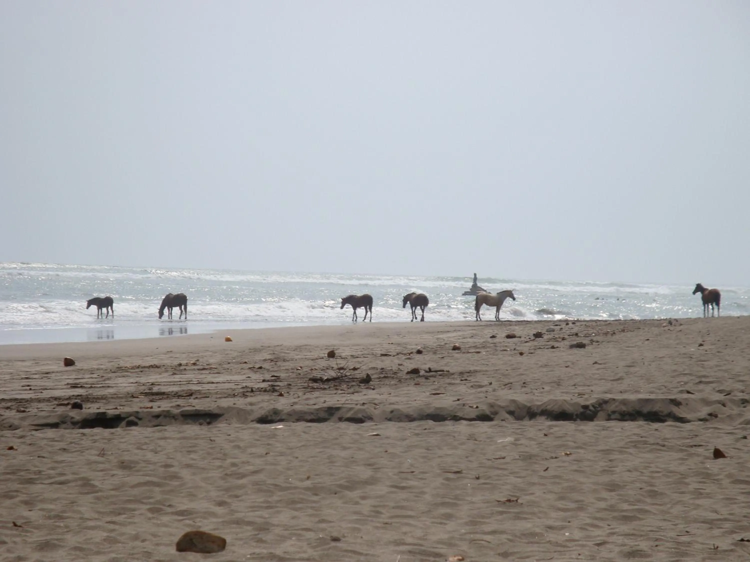 Beach in La Dolce Vita