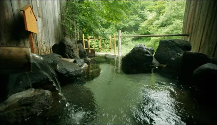 Hot Spring Bath in Honke Bankyu