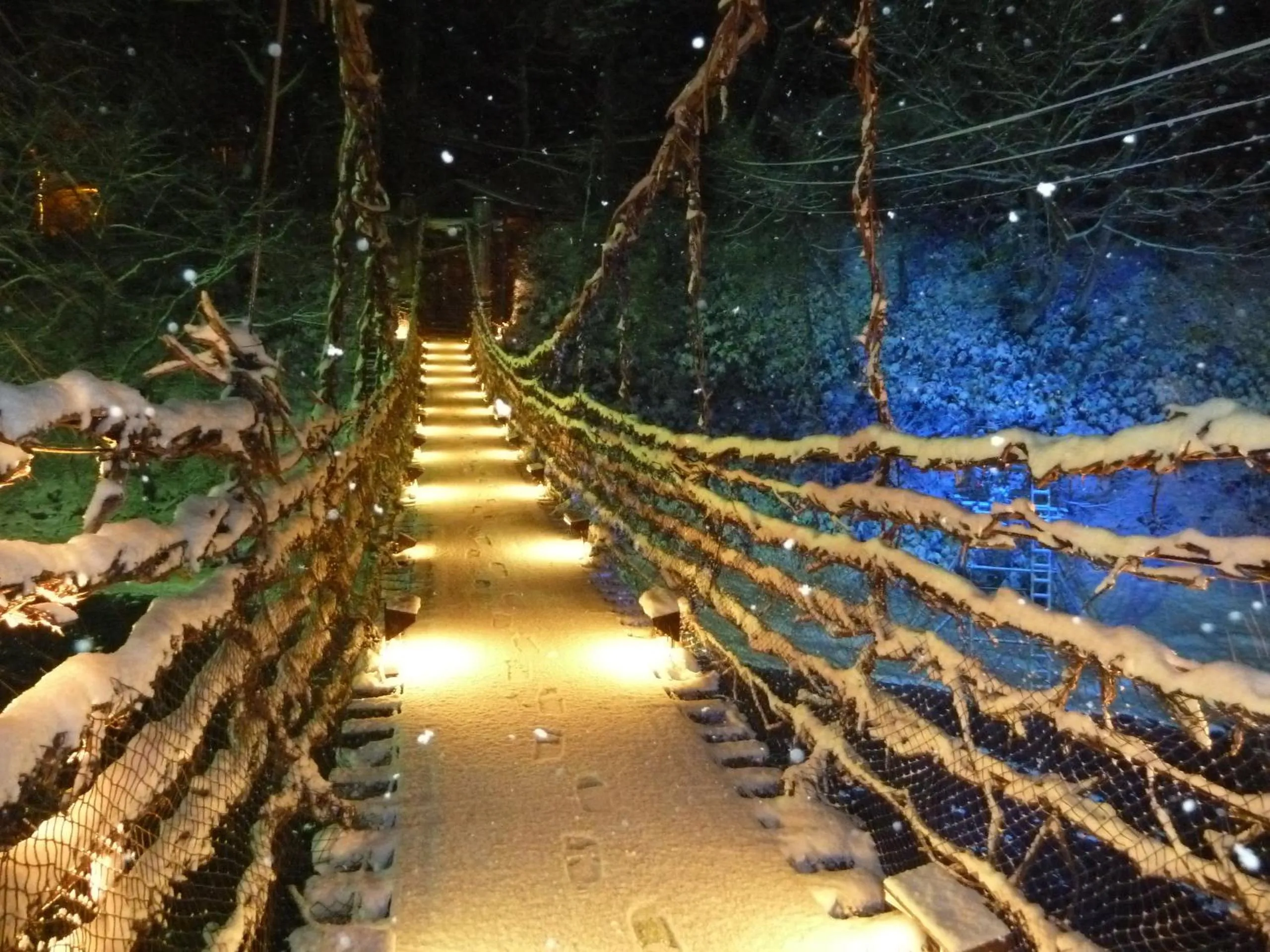 Night in Honke Bankyu