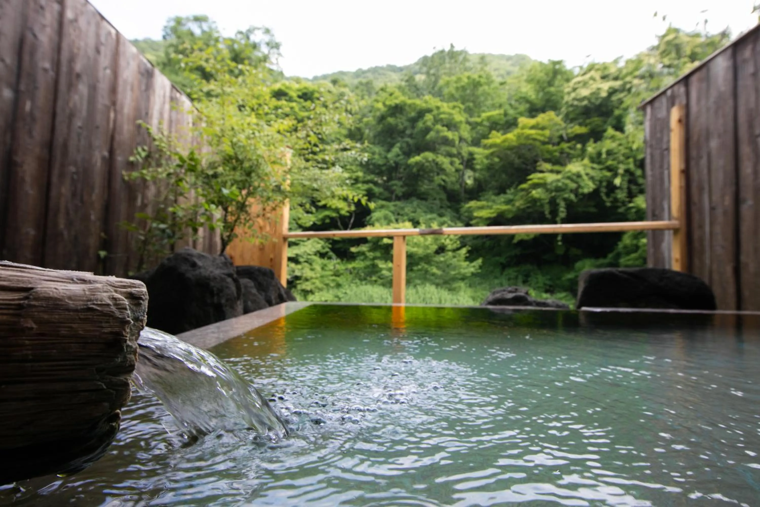 Hot Spring Bath in Honke Bankyu