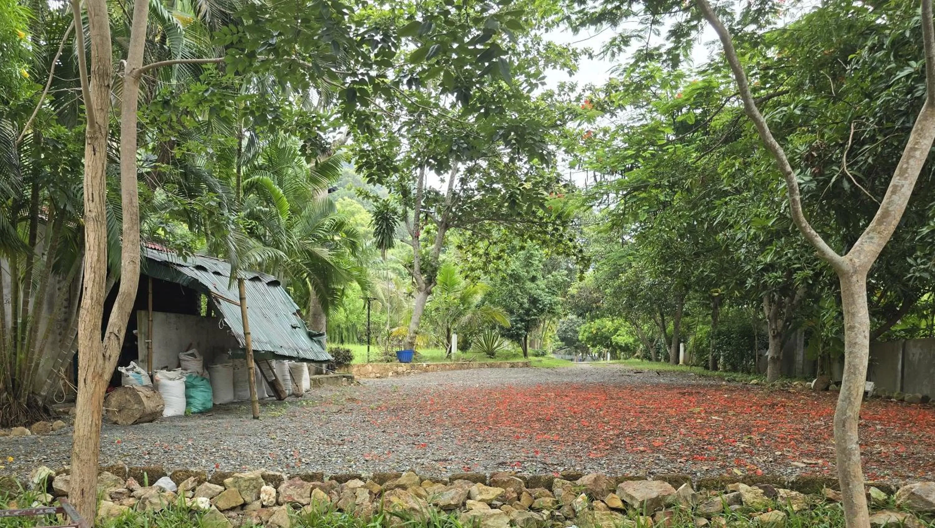 Garden view in Kep Lodge