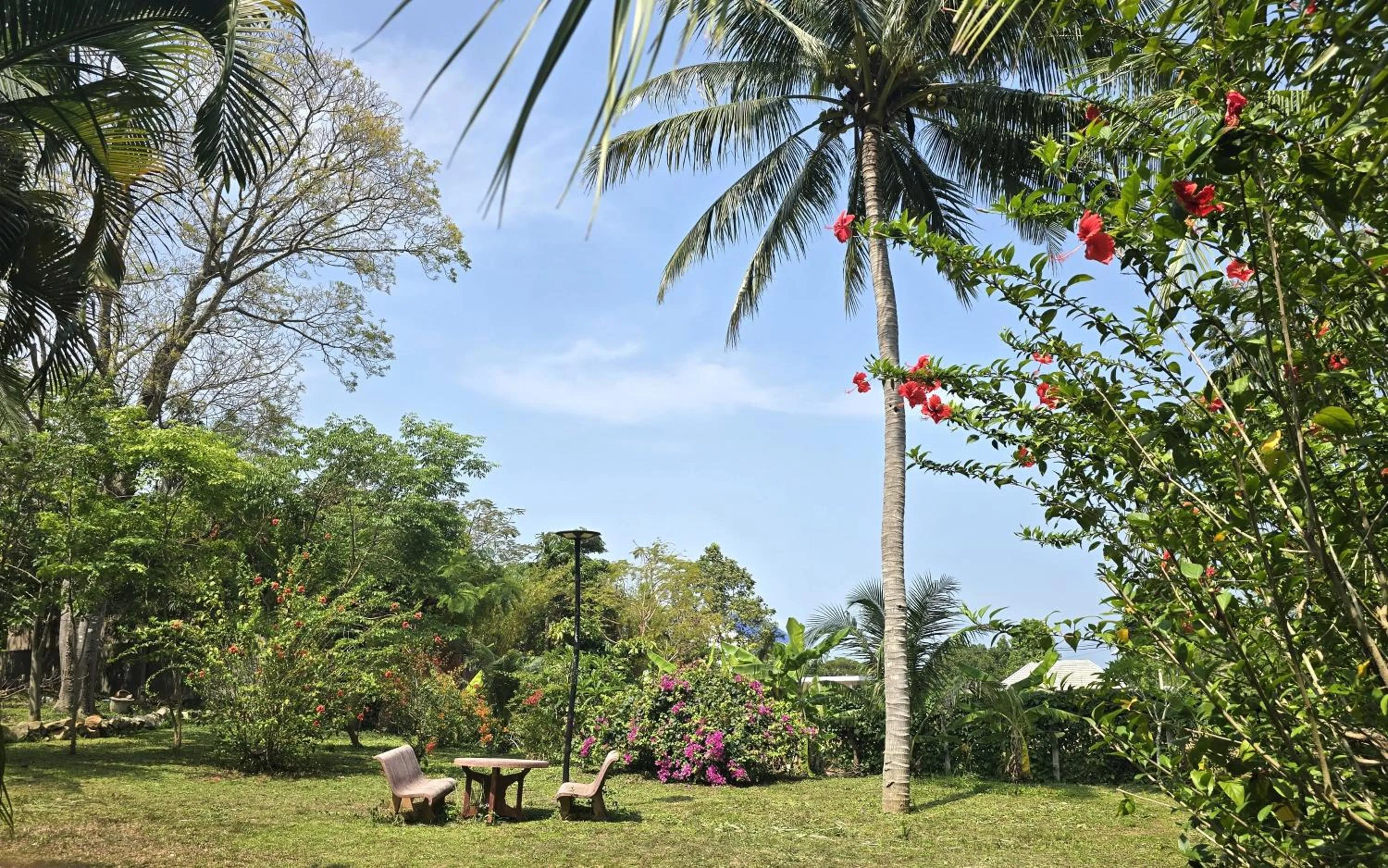Natural landscape in Kep Lodge